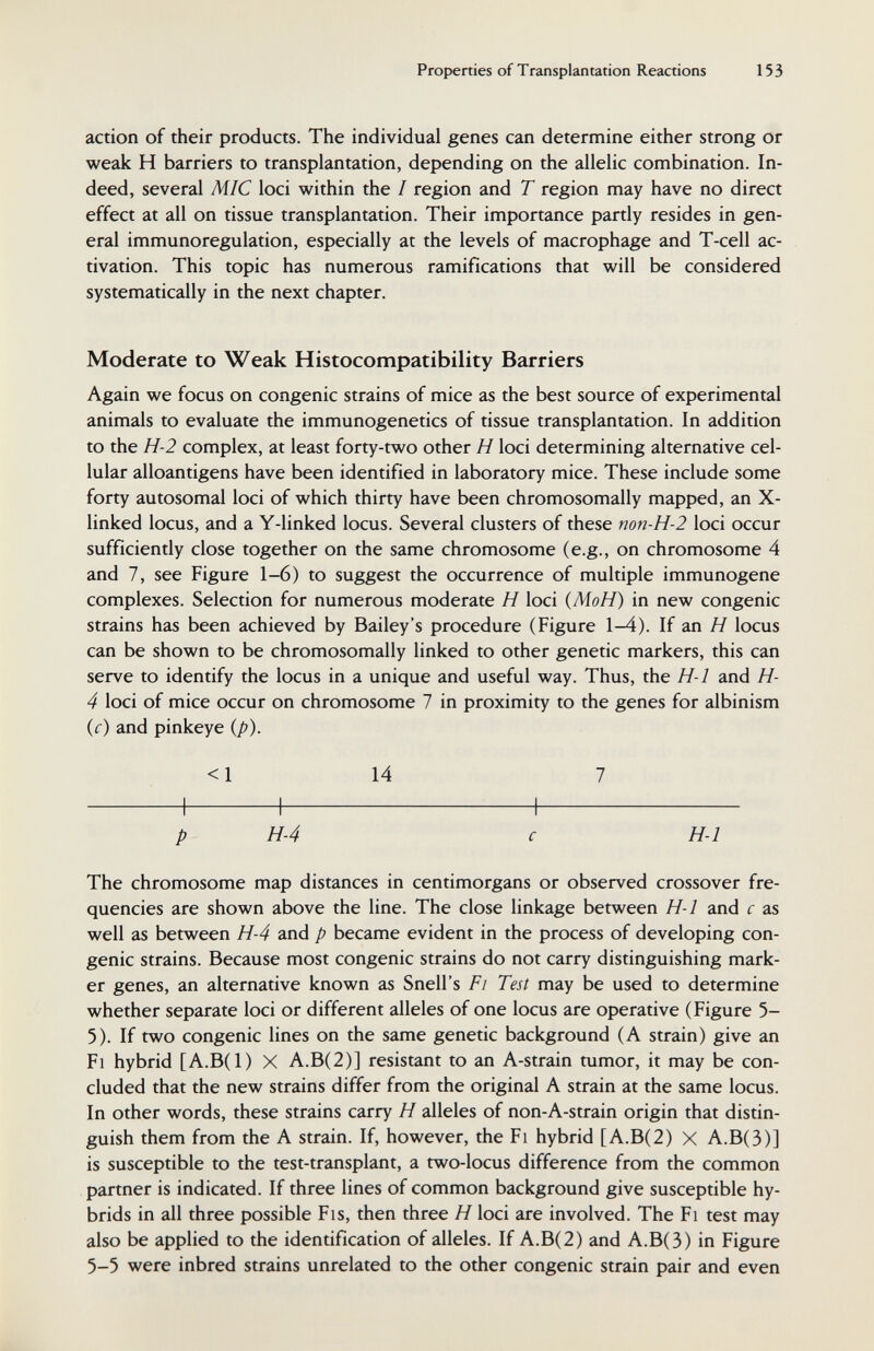 Properties of Transplantation Reactions 153 action of their products. The individual genes can determine either strong or weak H barriers to transplantation, depending on the allelic combination. In¬ deed, several MIC loci within the / region and T region may have no direct effect at all on tissue transplantation. Their importance partly resides in gen¬ eral immunoregulation, especially at the levels of macrophage and T-cell ac¬ tivation. This topic has numerous ramifications that will be considered systematically in the next chapter. Moderate to Weak Histocompatibility Barriers Again we focus on congenie strains of mice as the best source of experimental animals to evaluate the immunogenetics of tissue transplantation. In addition to the H-2 complex, at least forty-two other H loci determining alternative cel¬ lular alloantigens have been identified in laboratory mice. These include some forty autosomal loci of which thirty have been chromosomally mapped, an X- linked locus, and a Y-linked locus. Several clusters of these non-H-2 loci occur sufficiently close together on the same chromosome (e.g., on chromosome 4 and 7, see Figure 1-6) to suggest the occurrence of multiple immunogene complexes. Selection for numerous moderate H loci {MoH) in new congenie strains has been achieved by Bailey's procedure (Figure 1-4). If an H locus can be shown to be chromosomally linked to other genetic markers, this can serve to identify the locus in a unique and useful way. Thus, the H-1 and H- 4 loci of mice occur on chromosome 7 in proximity to the genes for albinism {c) and pinkeye {p). <1 14 7 p H-4 с H-1 The chromosome map distances in centimorgans or observed crossover fre¬ quencies are shown above the line. The close linkage between H-1 and с as well as between H-4 and p became evident in the process of developing con¬ genie strains. Because most congenie strains do not carry distinguishing mark¬ er genes, an alternative known as Snell's Fi Test may be used to determine whether separate loci or different alleles of one locus are operative (Figure 5- 5). If two congenie lines on the same genetic background (A strain) give an Fl hybrid [A.B(l) X A.B(2)] resistant to an A-strain tumor, it may be con¬ cluded that the new strains differ from the original A strain at the same locus. In other words, these strains carry H alleles of non-A-strain origin that distin¬ guish them from the A strain. If, however, the Fi hybrid [A.B(2) X A.B(3)] is susceptible to the test-transplant, a two-locus difference from the common partner is indicated. If three lines of common background give susceptible hy¬ brids in all three possible Fis, then three H loci are involved. The Fi test may also be applied to the identification of alleles. If A.B(2) and A.B(3) in Figure 5-5 were inbred strains unrelated to the other congenie strain pair and even