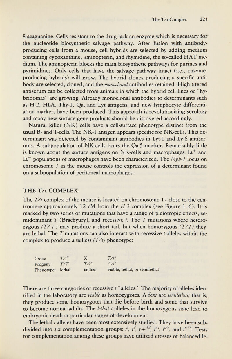The T/t Complex 223 S-azaguanine. Cells resistant to the drug lack an enzyme which is necessary for the nucleotide biosynthetic salvage pathway. After fusion with antibody- producing cells from a mouse, cell hybrids are selected by adding medium containing /^ypoxanthine, ^minopterin, and /hymidine, the so-called HAT me¬ dium. The aminopterin blocks the main biosynthetic pathways for purines and pyrimidines. Only cells that have the salvage pathway intact (i.e., enzyme- producing hybrids) will grow. The hybrid clones producing a specific anti¬ body are selected, cloned, and the monoclonal antibodies retained. High-titered antiserum can be collected from animals in which the hybrid cell lines or hy- bridomas are growing. Already monoclonal antibodies to determinants such as H-2, HLA, Thy-1, Qa, and Lyt antigens, and new lymphocyte differenti¬ ation markers have been produced. This approach is revolutionizing serology and many new surface gene products should be discovered accordingly. Natural killer (NK) cells have a cell-surface phenotype distinct from the usual B- and T-cells. The NK-1 antigen appears specific for NK-cells. This de¬ terminant was detected by contaminant antibodies in Lyt-1 and Ly-6 antiser¬ ums. A subpopulation of NK-cells bears the Qa-5 marker. Remarkably little is known about the surface antigens on NK-cells and macrophages. la* and Ia~ populations of macrophages have been characterized. The Mph-1 locus on chromosome 7 in the mouse controls the expression of a determinant found on a subpopulation of peritoneal macrophages. THE T/t COMPLEX The T/t complex of the mouse is located on chromosome 17 close to the cen¬ tromere approximately 12 cM from the H-2 complex (see Figure 1-6). It is marked by two series of mutations that have a range of pleiotropic effects, se- midominant T (Brachyury), and recessive /, The T mutations where hetero¬ zygous (T/+) may produce a short tail, but when homozygous (T/T) they are lethal. The T mutations can also interact with recessive t alleles within the complex to produce a tailless (T/t) phenotype: Cross: r//^ X T/t'^ Progeny: T/T T/t^ t^/t^ Phenotype: lethal tailless viable, lethal, or semilethal There are three categories of recessive / alleles. The majority of alleles iden¬ tified in the laboratory are viable as homozygotes. A few are semilethal; that is, they produce some homozygotes that die before birth and some that survive to become normal adults. The lethal t alleles in the homozygous state lead to embryonic death at particular stages of development. The lethal t alleles have been most extensively studied. They have been sub¬ divided into six complementation groups; f, t+, t', t'\ and t''^. Tests for complementation among these groups have utilized crosses of balanced le-