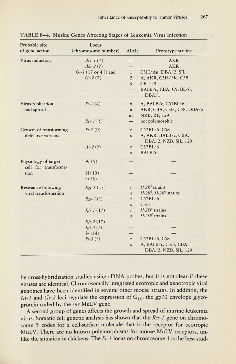 Inheritance of Susceptibility to Tumor Viruses 267 TABLE 8-4. Murine Genes Affecting Stages of Leukemia Virus Infection by cross-hybridization studies using cDNA probes, but it is not clear if these viruses are identical. Chromosomally integrated ecotropic and xenotropic viral genomes have been identified in several other mouse strains. In addition, the Gv-1 and Gv-2 loci regulate the expression of the gp70 envelope glyco¬ protein coded by the env MuLV gene. A second group of genes affects the growth and spread of murine leukemia virus. Somatic cell genetic analysis has shown that the Rev-1 gene on chromo¬ some 5 codes for a cell-surface molecule that is the receptor for ecotropic MuLV. There are no known polymorphisms for mouse MuLV receptors, un¬ like the situation in chickens. The Fv-1 locus on chromosome 4 is the best stud-