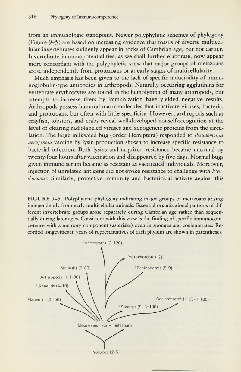 316 Phylogeny of Immunocompetence from an immunologic standpoint. Newer polyphyletic schemes of phylogeny (Figure 9-5) are based on increasing evidence that fossils of diverse multicel¬ lular invertebrates suddenly appear in rocks of Cambrian age, but not earlier. Invertebrate immunopotentialities, as we shall further elaborate, now appear more concordant with the polyphyletic view that major groups of metazoans arose independently from protozoans or at early stages of multicellularity. Much emphasis has been given to the lack of specific inducibility of immu- noglobulin-type antibodies in arthropods. Naturally occurring agglutinins for vertebrate erythrocytes are found in the hemolymph of many arthropods, but attempts to increase titers by immunization have yielded negative results. Arthropods possess humoral macromolecules that inactivate viruses, bacteria, and protozoans, but often with little specificity. However, arthropods such as crayfish, lobsters, and crabs reveal well-developed nonself-recognition at the level of clearing radiolabeled viruses and xenogeneic proteins from the circu¬ lation. The large milkweed bug (order Hemiptera) responded to Pseudomonas aeruginosa vaccine by lysin production shown to increase specific resistance to bacterial infection. Both lysins and acquired resistance became maximal by twenty-four hours after vaccination and disappeared by five days. Normal bugs given immune serum became as resistant as vaccinated individuals. Moreover, injection of unrelated antigens did not evoke resistance to challenge with Pseu¬ domonas. Similarly, protective immunity and bactericidal activity against this FIGURE 9-5. Polyphyletic phylogeny indicating major groups of metazoans arising independently from early multicellular animals. Essential organizational patterns of dif¬ ferent invertebrate groups arose separately during Cambrian age rather than sequen¬ tially during later ages. Consistent with this view is the finding of specific immunocom¬ petence with a memory component (asterisks) even in sponges and coelenterates. Re¬ corded longevities in years of representatives of each phylum are shown in parentheses. Vertebrates (2-120) \ Protochordates (?) Arthropods « 1-90) Annelids (4-10) Flatwornns (5-56) *Coelenterates «65-> 100) Mesozoans—Early metazoans Protozoa (2-5)