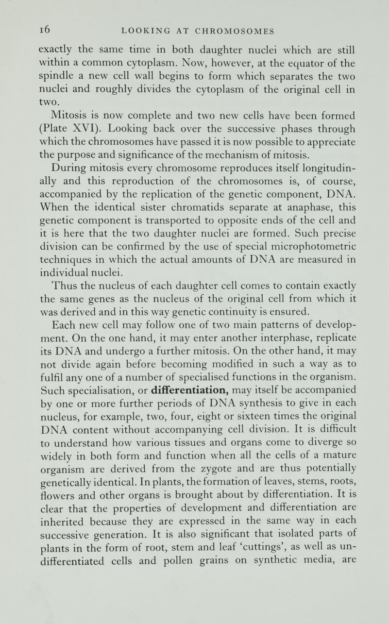 l6 LOOKING AT CHROMOSOMES exactly the same time in both daughter nuclei which are still within a common cytoplasm. Now, however, at the equator of the spindle a new cell wall begins to form which separates the two nuclei and roughly divides the cytoplasm of the original cell in two. Mitosis is now complete and two new cells have been formed (Plate XVI). Looking back over the successive phases through which the chromosomes have passed it is now possible to appreciate the purpose and significance of the mechanism of mitosis. During mitosis every chromosome reproduces itself longitudin¬ ally and this reproduction of the chromosomes is, of course, accompanied by the replication of the genetic component, DNA. When the identical sister chromatids separate at anaphase, this genetic component is transported to opposite ends of the cell and it is here that the two daughter nuclei are formed. Such precise division can be confirmed by the use of special microphotometric techniques in which the actual amounts of DNA are measured in individual nuclei. Thus the nucleus of each daughter cell comes to contain exactly the same genes as the nucleus of the original cell from which it was derived and in this way genetic continuity is ensured. Each new cell may follow one of two main patterns of develop¬ ment. On the one hand, it may enter another interphase, replicate its DNA and undergo a further mitosis. On the other hand, it may not divide again before becoming modified in such a way as to fulfil any one of a number of specialised functions in the organism. Such specialisation, or differentiation, may itself be accompanied by one or more further periods of DNA synthesis to give in each nucleus, for example, two, four, eight or sixteen times the original DNA content without accompanying cell division. It is difficult to understand how various tissues and organs come to diverge so widely in both form and function when all the cells of a mature organism are derived from the zygote and are thus potentially genetically identical. In plants, the formation of leaves, stems, roots, ñowers and other organs is brought about by diflFerentiation. It is clear that the properties of development and differentiation are inherited because they are expressed in the same way in each successive generation. It is also significant that isolated parts of plants in the form of root, stem and leaf 'cuttings', as well as un¬ differentiated cells and pollen grains on synthetic media, are