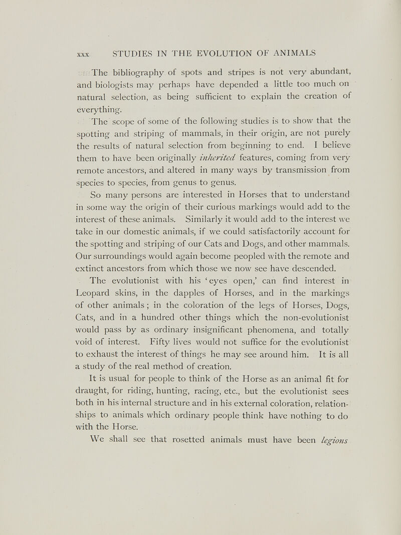 STUDIES IN THE EVOLUTION OF ANIMALS : The bibliography of spots and stripes is not very abundant, and biologists may perhaps have depended a little too much on natural selection, as being sufficient to explain the creation of everything. The scope of some of the following studies is to show that the spotting and striping of mammals, in their origin, are not purely the results of natural selection from beginning to end. I believe them to have been originally inherited features, coming from very remote ancestors, and altered in many ways by transmission from species to species, from genus to genus. So many persons are interested in Horses that to understand in some way the origin of their curious markings would add to the interest of these animals. Similarly it would add to the interest we take in our domestic animals, if we could satisfactorily account for the spotting and striping of our Cats and Dogs, and other mammals. Our surroundings would again become peopled with the remote and extinct ancestors from which those we now see have descended. The evolutionist with his ' eyes open,' can find interest in Leopard skins, in the dapples of Horses, and in the markings of other animals ; in the coloration of the legs of Horses, Dogs, Cats, and in a hundred other things which the non-evolutionist would pass by as ordinary insignificant phenomena, and totally void of interest. Fifty lives would not suffice for the evolutionist to exhaust the interest of things he may see around him. It is all a study of the real method of creation. It is usual for people to think of the Horse as an animal fit for draught, for riding, hunting, racing, etc., but the evolutionist sees both in his internal structure and in his external coloration, relation¬ ships to animals which ordinary people think have nothing to do with the Horse. We shall see that rosetted animals must have been legions