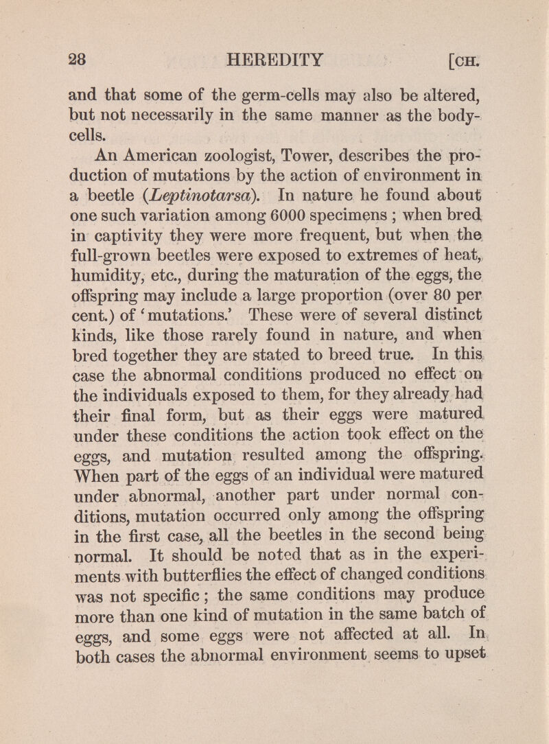 28 HEREDITY [ch. and that some of the germ-cells may also be altered, but not necessarily in the same manner as the body- cells. An American zoologist, Tower, describes the pro¬ duction of mutations by the action of environment in a beetle {Leptinotarsa). In nature he found about one such variation among 6000 specimens ; when bred, in captivity they were more frequent, but Avhen the full-groAvn beetles were exposed to extremes of heat, humidity, etc., during the maturation of the eggs, the offspring may include a large proportion (over 80 per cent.) of ' mutations.' These were of several distinct kinds, like those rarely found in nature, and when bred together they are stated to breed true. In this case the abnormal conditions produced no effect on the individuals exposed to them, for they already had their final form, but as their eggs were matured under these conditions the action took effect on the eggs, and mutation resulted among the offspring. When part of the eggs of an individual were matured under abnormal, another part under normal con^ ditions, mutation occurred only among the offspring in the first case, all the beetles in the second being normal. It should be noted that as in the experi¬ ments with butterflies the effect of changed conditions was not specific ; the same conditions may produce more than one kind of mutation in the same batch of eggs, and some eggs were not affected at all. In? both cases the abnormal environment seems to upset