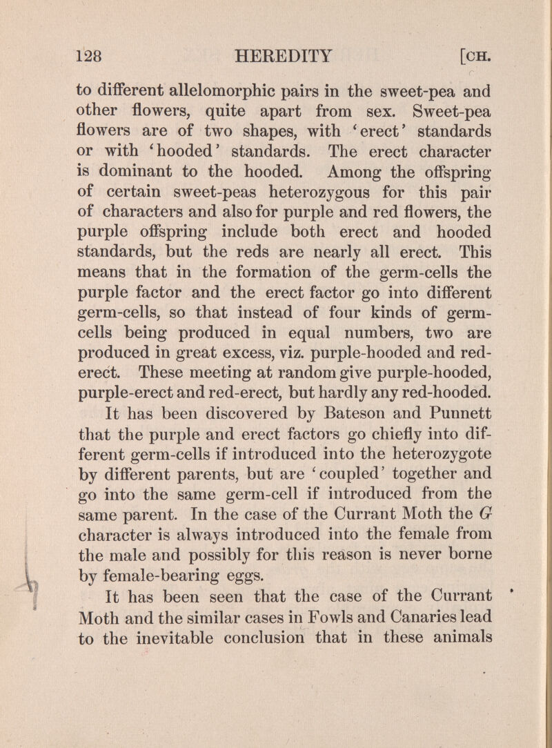 128 HEREDITY [ch. to différent allelomorphic pairs in the sweet-pea and other flowers, quite apart from sex. Sweet-pea flowers are of two shapes, with ^erect' standards or with 'hooded' standards. The erect character is dominant to the hooded. Among the ofl^spring of certain sweet-peas heterozygous for this pair of characters and also for purple and red flowers, the purple oflspring include both erect and hooded standards, but the reds are nearly all erect. This means that in the formation of the germ-cells the purple factor and the erect factor go into diflerent germ-cells, so that instead of four kinds of germ- cells being produced in equal numbers, two are produced in great excess, viz. purple-hooded and red- erect. These meeting at random give purple-hooded, purple-erect and red-erect, but hardly any red-hooded. It has been discovered by Bateson and Punnett that the purple and erect factors go chiefly into dif¬ ferent germ-cells if introduced into the heterozygote by diflerent parents, but are 'coupled' together and go into the same germ-cell if introduced from the same parent. In the case of the Currant Moth the G character is always introduced into the female from the male and possibly for this reason is never borne by female-bearing eggs. It has been seen that the case of the Currant Moth and the similar cases in Fowls and Canaries lead to the inevitable conclusion that in these animals