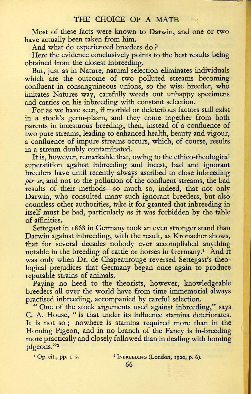 Most of these facts were known to Darwin, and one or two have actually been taken from him. And what do experienced breeders do ? Here the evidence conclusively points to the best results being obtained from the closest inbreeding. But, just as in Nature, natural selection eliminates individuals which are the outcome of two polluted streams becoming confluent in consanguineous unions, so the wise breeder, who imitates Natures way, carefully weeds out unhappy specimens and carries on his inbreeding with constant selection. For as we have seen, if morbid or deleterious factors still exist in a stock’s germ-plasm, and they come together from both parents in incestuous breeding, then, instead of a confluence of two pure streams, leading to enhanced health, beauty and vigour, a confluence of impure streams occurs, which, of course, results in a stream doubly contaminated. It is, however, remarkable that, owing to the ethico-theological superstition against inbreeding and incest, bad and ignorant breeders have until recently always ascribed to close inbreeding per se, and not to the pollution of the confluent streams, the bad results of their methods—so much so, indeed, that not only Darwin, who consulted many such ignorant breeders, but also countless other authorities, take it for granted that inbreeding in itself must be bad, particularly as it was forbidden by the table of affinities. Settegast in 1868 in Germany took an even stronger stand than Darwin against inbreeding, with the result, as Kronacher shows, that for several decades nobody ever accomplished anything notable in the breeding of cattle or horses in Germany. 1 And it was only when Dr. de Chapeaurouge reversed Settegast’s theo logical prejudices that Germany began once again to produce reputable strains of animals. Paying no heed to the theorists, however, knowledgeable breeders all over the world have from time immemorial always practised inbreeding, accompanied by careful selection. “ One of the stock arguments used against inbreeding,” says C. A. House, “ is that under its influence stamina deteriorates. It is not so ; nowhere is stamina required more than in the Homing Pigeon, and in no branch of the Fancy is in-breeding more practically and closely followed than in dealing with homing pigeons.” 2 1 Op. cit., pp. 1-2. 2 Inbreeding (London, 1920, p. 6). 66
