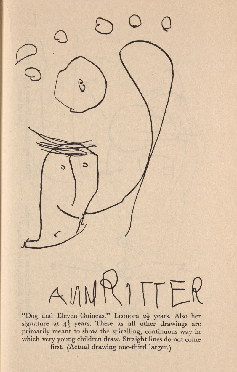 Dog and Eleven Guineas. Leonora 2^ years. Also her signature at 4^ years. These as all other drawings are primarily meant to show the spiralling, continuous way in which very young children draw. Straight lines do not come first. (Actual drawing one-third larger.)