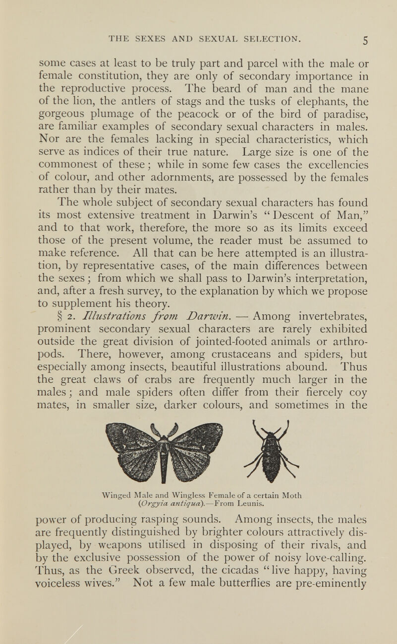 THE SEXES AND SEXUAL SELECTION. 5 some cases at least to be truly part and parcel with the male or female constitution, they are only of secondary importance in the reproductive process. The beard of man and the mane of the lion, the antlers of stags and the tusks of elephants, the gorgeous plumage of the peacock or of the bird of paradise, are familiar examples of secondary sexual characters in males. Nor are the females lacking in special characteristics, which serve as indices of their true nature. Large size is one of the commonest of these ; while in some few cases the excellencies of colour, and other adornments, are possessed by the females rather than by their mates. The whole subject of secondary sexual characters has found its most extensive treatment in Darwin's  Descent of Man, and to that work, therefore, the more so as its limits exceed those of the present volume, the reader must be assumed to make reference. All that can be here attempted is an illustra¬ tion, by representative cases, of the main differences between the sexes ; from which we shall pass to Darwin's interpretation, and, after a fresh survey, to the explanation by which we propose to supplement his theory. § 2. Illustrations from Darwin. — Among invertebrates, prominent secondary sexual characters are rarely exhibited outside the great division of jointed-footed animals or arthro¬ pods. There, however, among crustaceans and spiders, but especially among insects, beautiful illustrations abound. Thus the great claws of crabs are frequently much larger in the males ; and male spiders often differ from their fiercely coy mates, in smaller size, darker colours, and sometimes in the Winged Male and Wingless Female of a certain Moth {prgyia antiqua).—From Leimis, power of producing rasping sounds. Among insects, the males are frequently distinguished by brighter colours attractively dis¬ played, by weapons utilised in disposing of their rivals, and by the exclusive possession of the power of noisy love-calling. Thus, as the Greek observed, the cicadas live happy, having voiceless wives. Not a few male butterflies are pre-eminently