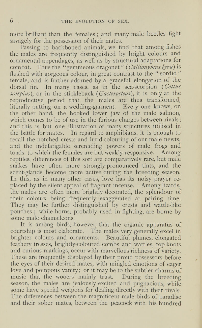 6 THE EVOLUTION OF SEX. more brilliant than the females ; and many male beetles fight savagely for the possession of their mates. Passing to backboned animals, we find that among fishes the males are frequently distinguished by bright colours and ornamental appendages, as well as by structural adaptations for combat. Thus the gemmeous dragonet {Callionymus lyrd) is flushed with gorgeous colour, in great contrast to the  sordid  female, and is further adorned by a graceful elongation of the dorsal fin. In many cases, as in the sea-scorpion {Cottns scorpius), or in the stickleback {Gasterosteus), it is only at the reproductive period that the males are thus transformed, literally putting on a wedding-garment. Every one knows, on the other hand, the hooked lower jaw of the male salmon, which comes to be of use in the furious charges between rivals; and this is but one illustration of many structures utilised in the battle for mates. In regard to amphibians, it is enough to recall the notched crests and lurid colouring of our male newts, and the indefatigable serenading powers of male frogs and toads, to which the females are but weakly responsive. Among reptiles, differences of this sort are comparatively rare, but male snakes have often more strongly-pronounced tints, and the scent-glands become more active during the breeding season. In this, as in many other cases, love has its noisy prayer re¬ placed by the silent appeal of fragrant incense. Among lizards, the males are often more brightly decorated, the splendour of their colours being frequently exaggerated at pairing time. They may be further distinguished by crests and wattle-like pouches ; while horns, probably used in fighting, are borne by some male chamceleons. It is among birds, however, that the organic apparatus of courtship is most elaborate. The males very generally excel in brighter colours and ornaments. Beautiful plumes, elongated feathery tresses, brightly-coloured combs and wattles, top-knots and curious markings, occur with marvellous richness of variety. These are frequently displayed by their proud possessors before the eyes of their desired mates, with mingled emotions of eager love and pompous vanity; or it may be to the subtler charms of music that the wooers mainly trust. During the breeding season, the males are jealously excited and pugnacious, while some have special weapons for dealing directly with their rivals. The differences between the magnificent male birds of paradise and their sober mates, between the peacock with his hundred