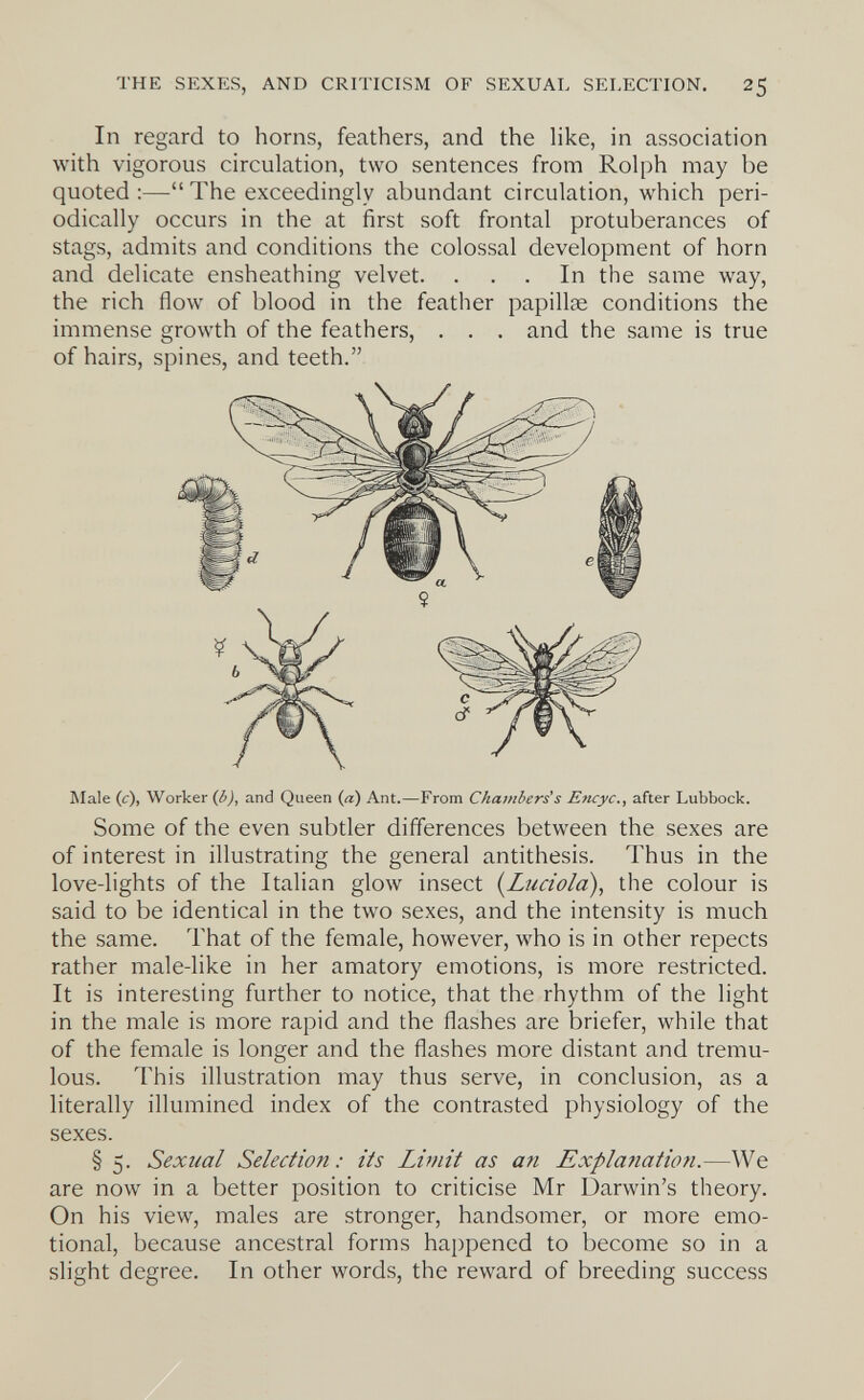 THE SEXES, AND CRITICISM OF SEXUAL SELECTION. 25 In regard to horns, feathers, and the hke, in association with vigorous circulation, two sentences from Rolph may be quoted ;— The exceedingly abundant circulation, which peri¬ odically occurs in the at first soft frontal protuberances of stags, admits and conditions the colossal development of horn and delicate ensheathing velvet. ... In the same way, the rich flow of blood in the feather papillae conditions the immense growth of the feathers, . . . and the same is true of hairs, spines, and teeth. INIale (c), Worker (âj, and Queen (д) Ant.—From Chambers' s Encyc., after Lubbock. Some of the even subtler differences between the sexes are of interest in illustrating the general antithesis. Thus in the love-lights of the Italian glow insect {Lucióla), the colour is said to be identical in the two sexes, and the intensity is much the same. That of the female, however, who is in other repects rather male-like in her amatory emotions, is more restricted. It is interesting further to notice, that the rhythm of the light in the male is more rapid and the flashes are briefer, while that of the female is longer and the flashes more distant and tremu¬ lous. This illustration may thus serve, in conclusion, as a literally illumined index of the contrasted physiology of the sexes. § 5. Sexual Selection : its Limit as an Expla^iation.—We are now in a better position to criticise Mr Darwin's theory. On his view, males are stronger, handsomer, or more emo¬ tional, because ancestral forms happened to become so in a slight degree. In other words, the reward of breeding success