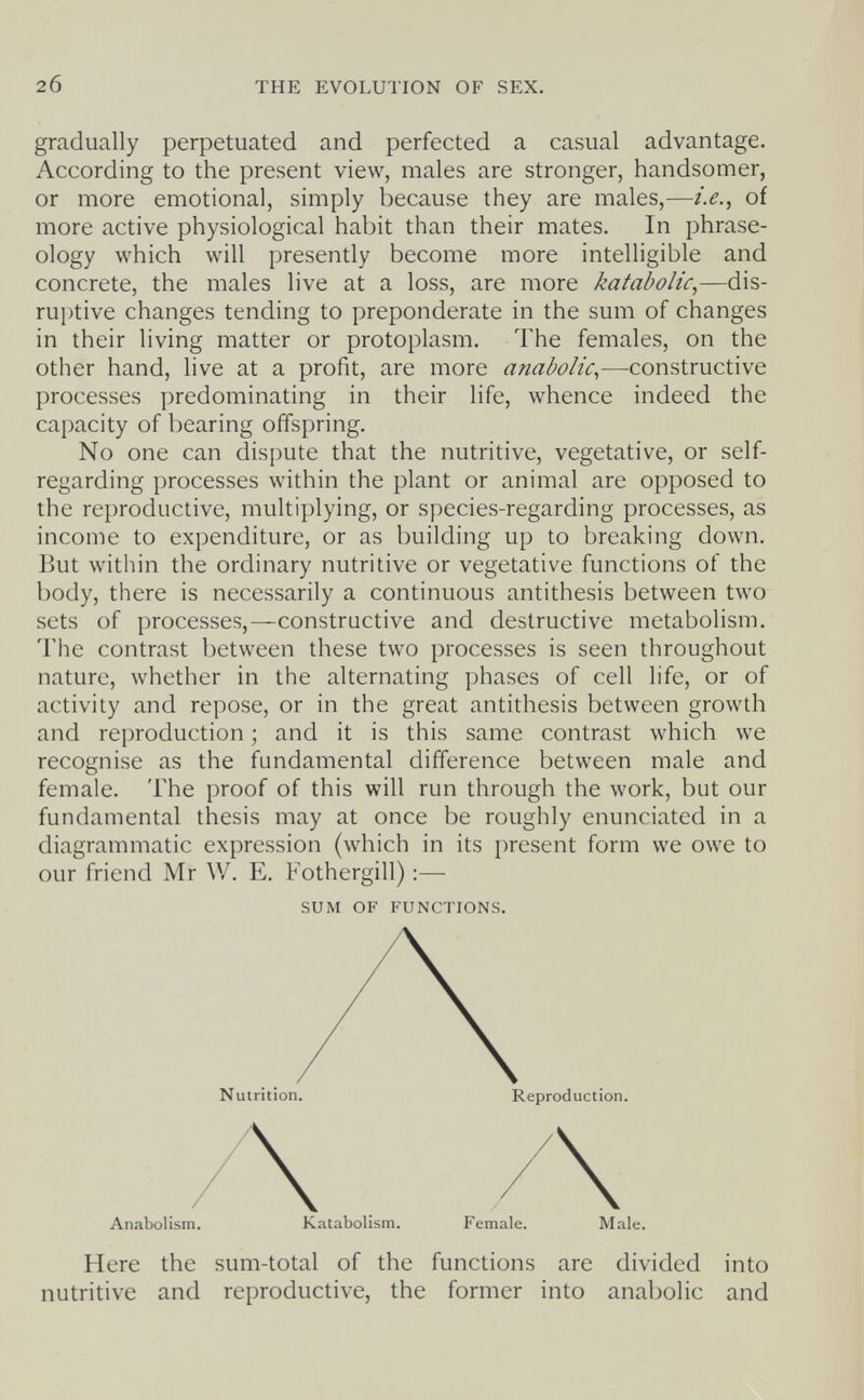 20 THE EVOLUTION OF SEX. gradually perpetuated and perfected a casual advantage. According to the present view, males are stronger, handsomer, or more emotional, simply because they are males,—i.e., of more active physiological habit than their mates. In phrase¬ ology which will presently become more intelligible and concrete, the males live at a loss, are more katabolic,—dis¬ ruptive changes tending to preponderate in the sum of changes in their living matter or protoplasm. The females, on the other hand, live at a profit, are more anabolic.,—constructive processes predominating in their life, whence indeed the capacity of bearing offspring. No one can dispute that the nutritive, vegetative, or self- regarding processes within the plant or animal are opposed to the reproductive, multiplying, or species-regarding processes, as income to expenditure, or as building up to breaking down. But within the ordinary nutritive or vegetative functions of the body, there is necessarily a continuous antithesis between two sets of processes,—constructive and destructive metabolism. The contrast between these two processes is seen throughout nature, whether in the alternating phases of cell life, or of activity and repose, or in the great antithesis between growth and reproduction ; and it is this same contrast which we recognise as the fundamental difference between male and female. The proof of this will run through the work, but our fundamental thesis may at once be roughly enunciated in a diagrammatic expression (which in its present form we owe to our friend Mr W. E. Fothergill) :—- SUM OF FUNCTIONS. Nutrition. Reproduction. Anabolism. Katabolism. Female. Male. Here the sum-total of the functions are divided into nutritive and reproductive, the former into anabolic and