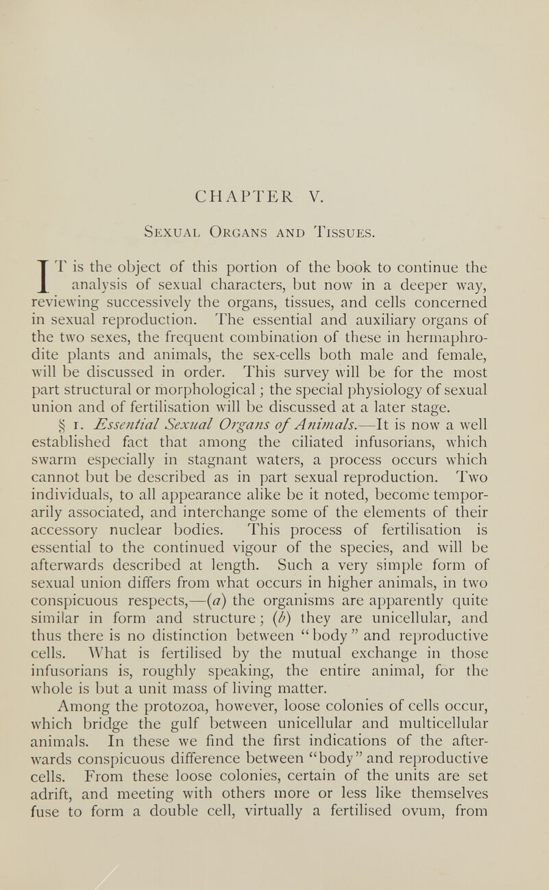 CHAPTER V. Sexual Organs and Tissues. IT is the object of this portion of the book to continue the analysis of sexual characters, but now in a deeper way, reviewing successively the organs, tissues, and cells concerned in sexual reproduction. The essential and auxiliary organs of the two sexes, the frequent combination of these in hermaphro¬ dite plants and animals, the sex-cells both male and female, will be discussed in order. This survey will be for the most part structural or morphological ; the special physiology of sexual union and of fertilisation will be discussed at a later stage. I. Essential Sexual Organs of Aiiimals.—It is now a well established fact that among the ciliated infusorians, which swarm especially in stagnant waters, a process occurs which cannot but be described as in part sexual reproduction. Two individuals, to all appearance alike be it noted, become tempor¬ arily associated, and interchange some of the elements of their accessory nuclear bodies. This process of fertilisation is essential to the continued vigour of the species, and will be afterwards described at length. Such a very simple form of sexual union diiïers from what occurs in higher animals, in two conspicuous respects,—{a) the organisms are apparently quite similar in form and structure ; {b) they are unicellular, and thus there is no distinction between  body  and reproductive cells. What is fertilised by the mutual exchange in those infusorians is, roughly speaking, the entire animal, for the whole is but a unit mass of living matter. Among the protozoa, however, loose colonies of cells occur, which bridge the gulf between unicellular and multicellular animals. In these we find the first indications of the after¬ wards conspicuous difference between body and reproductive cells. From these loose colonies, certain of the units are set adrift, and meeting with others more or less like themselves fuse to form a double cell, virtually a fertilised ovum, from