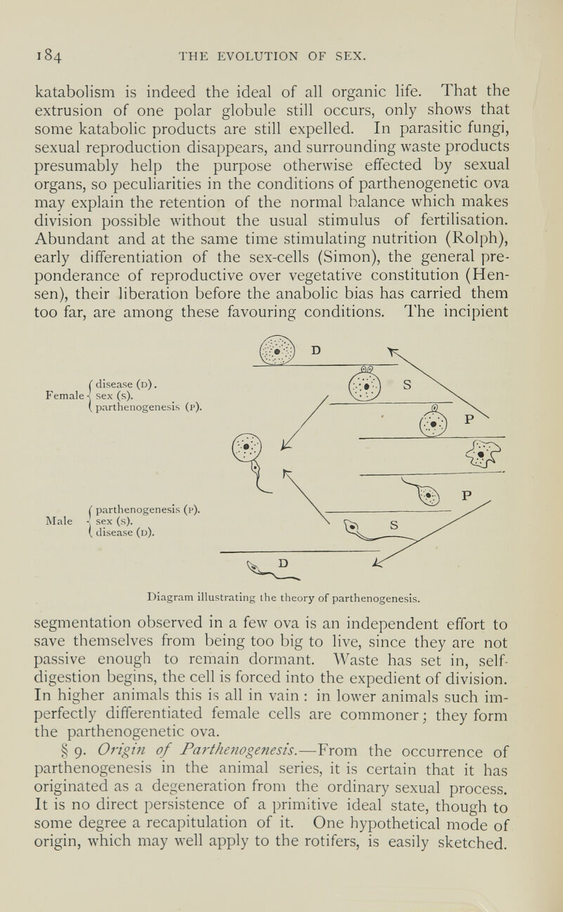 184 THE EVOLUTION OF SEX. katabolism is indeed the ideal of all organic life. That the extrusion of one polar globule still occurs, only shows that some katabolic products are still expelled. In parasitic fungi, sexual reproduction disappears, and surrounding waste products presumably help the purpose otherwise effected by sexual organs, so peculiarities in the conditions of parthenogenetic ova may explain the retention of the normal balance which makes division possible without the usual stimulus of fertilisation. Abundant and at the same time stimulating nutrition (Rolph), early differentiation of the sex-cells (Simon), the general pre¬ ponderance of reproductive over vegetative constitution (Hen- sen), their liberation before the anabolic bias has carried them too far, are among these favouring conditions. The incipient save themselves from being too big to live, since they are not passive enough to remain dormant. Waste has set in, self- digestion begins, the cell is forced into the expedient of division. In higher animals this is all in vain : in lower animals such im- perfecdy differentiated female cells are commoner; they form the parthenogenetic ova. § 9. Origin of Parthenogenesis.—From the occurrence of parthenogenesis in the animal series, it is certain that it has originated as a degeneration from the ordinary sexual process. It is no direct persistence of a primitive ideal state, though to some degree a recapitulation of it. One hypothetical mode of origin, which may well apply to the rotifers, is easily sketched.