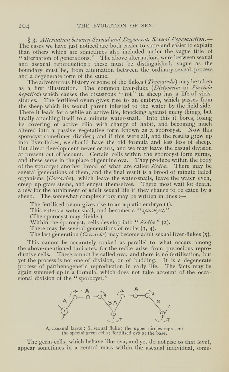 204 THE EVOLUTION OF SEX. § 3. Alternation between Sextial and Degenerate Sexual Reproduction.— The cases we have just noticed are both easier to state and easier to explain than others which are sometimes also included under the vague title of  alternation of generations. The above alternations were between sexual and asexual reproduction ; these must be distinguished, vague as the boundary must be, from alternation between the ordinary sexual process and a degenerate form of the same. The adventurous history of some of the flukes ( Tr'ematodd) may be taken as a first illustration. The common liver-fluke {Distosnum or Fasciola /¿í/aZ/ca) which causes the disastrous rot' in sheep has a life of vicis¬ situdes. The fertilised ovum gives rise to an embryo, which passes from the sheep which its sexual parent infested to the water by the field side. There it leads for a while an active life, knocking against many things, but finally attaching itself to a minute water-snail. Into this it bores, losing its covering of active cilia with change of habit, and becoming much altered into a passive vegetative form known as a sporocyst. Now this sporocyst sometimes divides ; and if this were all, and the results grew up into liver-flukes, we should have the old formula and less loss of sheep. But direct development never occurs, and we may leave the casual division at present out of account. Certain cells within the sporocyst form germs, and these serve in the place of genuine ova. They produce within the body of the sporocyst another brood of what are called Rediœ. There may be several generations of them, and the final result is a brood of minute tailed organisms [Ceixariœ), which leave the water-snails, leave the water even, creep up grass stems, and encyst themselves. There most wait for death, a few for the attainment of adult sexual life if they chance to be eaten by a sheep. The somewhat complex story may be written in lines :—■ The fertilised ovum gives rise to an aquatic embryo (i). This enters a water-snail, and becomes a sporocyst. (The sporocyst may divide.) Within the sporocyst, cells develop into Rediœ (2). There may be several generations of rediœ (3, 4). The last generation {Cercaria) may become adult sexual liver-flukes (5). This cannot be accurately ranked as parallel to what occurs among the above-mentioned tunicates, for the rediœ arise from precocious repro¬ ductive cells. These cannot be called ova, and there is no fertilisation, but yet the process is not one of division, or of budding. It is a degenerate process of parthenogenetic reproduction in early life. The facts may be again summed up in a formula, which does not take account of the occa¬ sional division of the sporocyst. The germ-cells, which behave like ova, and yet do not rise to that level, appear sometimes in a central mass within the asexual individual, some- A, asexual larvœ ; S, sexual fluke ; the upper circles represent the special germ cells ; fertilised ova at the base.