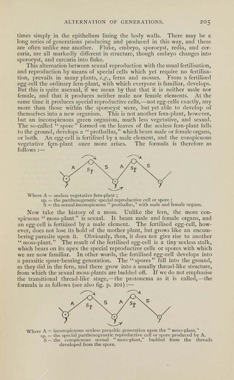 ALTERNATION OF GENERATIONS. 205 times simply in the epithelium lining the body walls. There may be a long series of generations producing and produced in this way, and these are often unlike one another. Fluke, embryo, sporocyst, redia, and cer¬ caria, are all markedly different in structure, though embryo changes into sporocyst, and cercaria into fluke. This alternation between sexual reproduction with the usual fertilisation, and reproduction by means of special cells which yet require no fertilisa¬ tion, prevails in many plants, e.g., ferns and mosses. From a fertilised egg-cell the ordinary fern-plant, with which everyone is familiar, develops. But this is quite asexual, if we mean by that that it is neither male nor female, and that it produces neither male nor female elements. At the same time it produces special reproductive cells,-—not egg-cells exactly, any more than those within the sporocyst were, but yet able to develop of themselves into a new organism. This is not another fern-plant, however, but an inconspicuous green organism, much less vegetative, and sexual. The so-called  spore formed on the leaves of the sexless fern-plant falls to the ground, develops a  prothallus, which bears male or female organs, or both. An egg-cell is fertilised by a male element, and the conspicuous vegetative fern-plant once more arises. The formula is therefore as follows :— Where A = sexless vegetative fern-plant ; sp. = the parthenogenetic special reproductive cell or spore ; S = the sexual inconspicuous  prothallus, with male and female organs. Now take the history of a moss. Unlike the fern, the more con¬ spicuous moss-plant is sexual. It bears male and female organs, and an egg-cell is fertilised by a male element. The fertilised egg-cell, how¬ ever, does not lose its hold of the mother plant, but grows like an encum¬ bering parasite upon it. Obviously, then, it does not give rise to another  moss-plant. The result of the fertilised egg-cell is a tiny sexless stalk, which bears on its apex the special reproductive cells or spores with which we are now familiar. In other words, the fertilised egg-cell develops into a parasitic spore-bearing generation. The spores fall into the ground, as they did in the fern, and there grow into a usually thread-like structure, from which the sexual moss-plants are budded off. If we do not emphasise the transitional thread-like stage,—the protonema as it is called,—the formula is as follows (see also fig. p. 201) :— Where A= inconspicuous sexless parasitic generation upon the  moss-plant. sp. = the special parthenogenetic reproductive cell or spore produced by A. S=the conspicuous sexual moss-plant, budded from the threads developed from the spore.