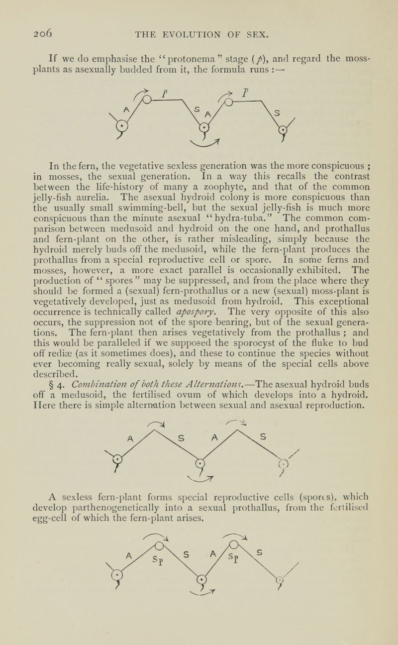 2o6 THE EVOLUTION OF SEX, If we do emphasise the  protonema  stage (/), and regard the moss- plants as asexually budded from it, the formula runs : — In the fern, the vegetative sexless generation was the more conspicuous ; in mosses, the sexual generation. In a way this recalls the contrast between the life-history of many a zoophyte, and that of the common jelly-fish aurelia. The asexual hydroid colony is more conspicuous than the usually small swimming-bell, but the sexual jelly-fish is much more conspicuous than the minute asexual hydra-tuba. The common com¬ parison between medusoid and hydroid on the one hand, and prothallus and fern-plant on the other, is rather misleading, simply because the hydroid merely buds off the medusoid, while the fern-plant produces the prothallus from a special reproductive cell or spore. In some ferns and mosses, however, a more exact parallel is occasionally exhibited. The production of  spores  may be suppressed, and from the place where they should be formed a (sexual) fern-prothallus or a new (sexual) moss-plant is vegetatively developed, just as medusoid from hydroid. This exceptional occurrence is technically called apospory. The very opposite of this also occurs, the suppression not of the spore bearing, but of the sexual genera¬ tions. The fern-plant then arises vegetatively from the prothallus ; and this would be paralleled if we supposed the sporocyst of the fluke to bud off rediœ (as it sometimes does), and these to continue the species without ever becoming really sexual, solely by means of the special cells above described. § 4. Combination of both these Alternations.—The asexual hydroid buds off a medusoid, the fertilised ovum of which develops into a hydroid. Here there is simple alternation between sexual and asexual reproduction. A sexless fern-plant forms special reproductive cells (spores), which develop parthenogenetically into a sexual prothallus, from the fertilised egg-cell of which the fern-plant arises.