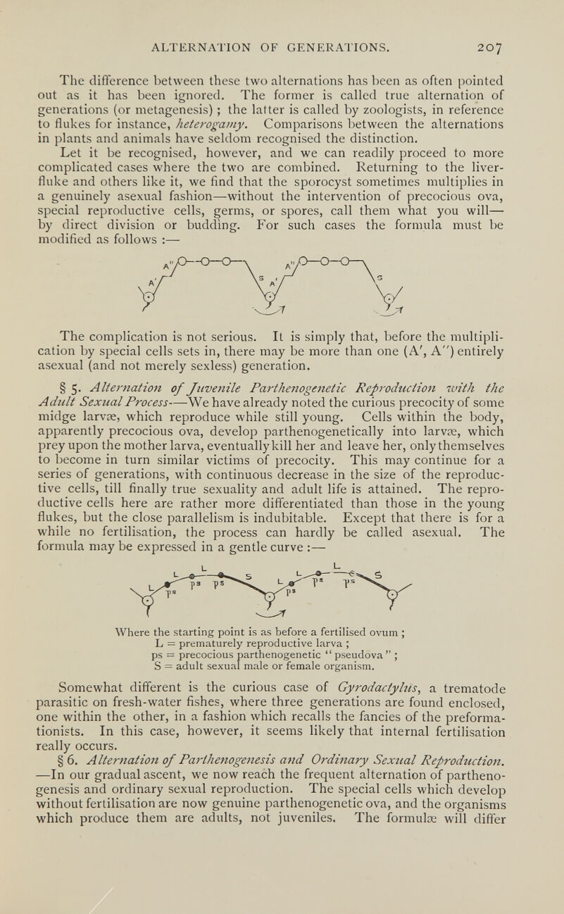 ALTERNATION OF GENERATIONS. 207 The difference between these two alternations has been as often pointed out as it has been ignored. The former is called true alternation of generations (or metagenesis) ; the latter is called by zoologists, in reference to flukes for instance, heterogamy. Comparisons between the alternations in plants and animals have seldom recognised the distinction. Let it be recognised, however, and we can readily proceed to more complicated cases where the two are combined. Returning to the liver- fluke and others like it, we find that the sporocyst sometimes multiplies in a genuinely asexual fashion—without the intervention of precocious ova, special reproductive cells, germs, or spores, call them what you will— by direct division or budding. For such cases the formula must be modified as follows :— The complication is not serious. It is simply that, before the multipli¬ cation by special cells sets in, there may be more than one (A', A) entirely asexual (and not merely sexless) generation. § 5- AUernatiott of Juvenile Parthenogenetic Reprodticiion with the Adîilt Sexual Process—We have already noted the curious precocity of some midge larvce, which reproduce while still young. Cells within the body, apparently precocious ova, develop parthenogenetically into larvce, which prey upon the mother larva, eventually kill her and leave her, only themselves to become in turn similar victims of precocity. This may continue for a series of generations, with continuous decrease in the size of the reproduc¬ tive cells, till finally true sexuality and adult life is attained. The repro¬ ductive cells here are rather more differentiated than those in the young flukes, but the close parallelism is indubitable. Except that there is for a while no fertilisation, the process can hardly be called asexual. The formula may be expressed in a gentle curve :— Where the starting point is as before a fertilised ovum ; L = prematurely reproductive larva ; ps = precocious parthenogenetic pseudova ; S = adult sexual male or female organism. Somewhat different is the curious case of Gyrodactylus, a trematode parasitic on fresh-water fishes, where three generations are found enclosed, one within the other, in a fashion which recalls the fancies of the preforma- tionists. In this case, however, it seems likely that internal fertilisation really occurs. § 6. Alternation of Parthenogenesis and Ordinary Sexiial Reproduction. —In our gradual ascent, we now reach the frequent alternation of partheno¬ genesis and ordinary sexual reproduction. The special cells which develop without fertilisation are now genuine parthenogenetic ova, and the organisms which produce them are adults, not juveniles. The formulœ will differ