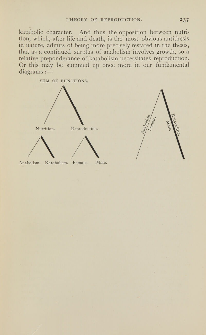 THEORY OF REPRODUCTION. 237 katabolic character. And thus the opposition between nutri¬ tion, which, after hfe and death, is the most obvious antithesis in nature, admits of being more precisely restated in the thesis, that as a continued surplus of anabolism involves growth, so a relative preponderance of katabolism necessitates reproduction. Or this may be summed up once more in our fundamental diagrams :— SUM OF FUNCTIONS. Nutrition. Reproduction. Anabolism. Katabolism. Female. Male.