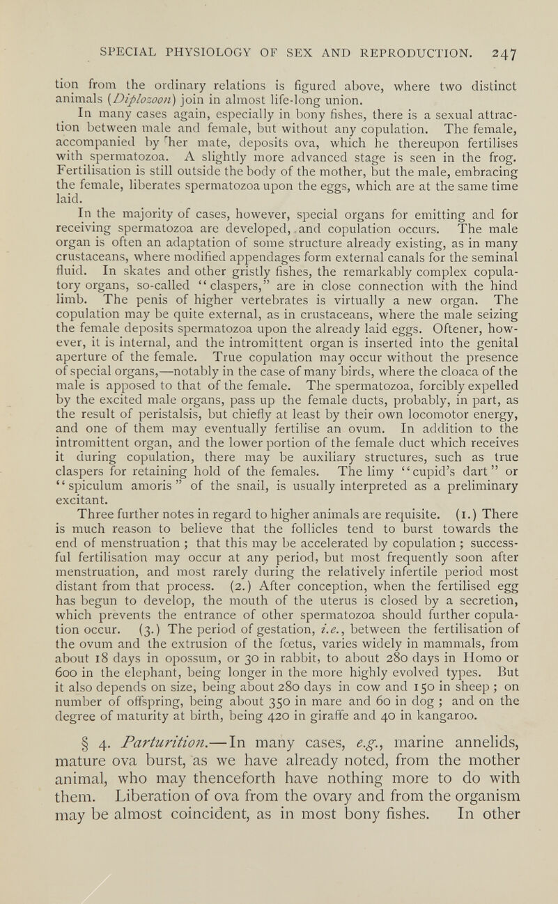 SPECIAL PHYSIOLOGY OF SEX AND REPRODUCTION. 247 tion from the ordinary relations is figured above, where two distinct animals {Diplozooii) join in almost life-long union. In many cases again, especially in bony fishes, there is a sexual attrac¬ tion between male and female, but without any copulation. The female, accompanied by -her mate, deposits ova, which he thereupon fertilises with spermatozoa. A slightly more advanced stage is seen in the frog. Fertilisation is still outside the body of the mother, but the male, embracing the female, liberates spermatozoa upon the eggs, which are at the same time laid. In the majority of cases, however, special organs for emitting and for receiving spermatozoa are developed, .and copulation occurs. The male organ is often an adaptation of some structure already existing, as in many crustaceans, where modified appendages form external canals for the seminal fluid. In skates and other gristly fishes, the remarkably complex copula- tory organs, so-called claspers, are in close connection with the hind limb. The penis of higher vertebrates is virtually a new organ. The copulation may be quite external, as in crustaceans, where the male seizing the female deposits spermatozoa upon the already laid eggs. Oftener, how¬ ever, it is internal, and the intromittent organ is inserted into the genital aperture of the female. True copulation may occur without the presence of special organs,—-notably in the case of many birds, where the cloaca of the male is apposed to that of the female. The spermatozoa, forcibly expelled by the excited male organs, pass up the female ducts, probably, in part, as the result of peristalsis, but chiefly at least by their own locomotor energy, and one of them may eventually fertilise an ovum. In addition to the intromittent organ, and the lower portion of the female duct which receives it during copulation, there may be auxiliary structures, such as true claspers for retaining hold of the females. The limy cupid's dart or  spiculum amoris  of the snail, is usually interpreted as a preliminary excitant. Three further notes in regard to higher animals are requisite, (i.) There is much reason to believe that the follicles tend to burst towards the end of menstruation ; that this may be accelerated by copulation ; success¬ ful fertilisation may occur at any period, but most frequently soon after menstruation, and most rarely during the relatively infertile period most distant from that process. (2.) After conception, when the fertilised egg has begun to develop, the mouth of the uterus is closed by a secretion, which prevents the entrance of other spermatozoa should further copula¬ tion occur. (3.) The period of gestation, i.e., between the fertilisation of the ovum and the extrusion of the foetus, varies widely in mammals, from about 18 days in opossum, or 30 in rabbit, to about 280 days in Homo or 600 in the elephant, being longer in the more highly evolved types. But it also depends on size, being about 280 days in cow and 150 in sheep ; on number of offspring, being about 350 in mare and 60 in dog ; and on the degree of maturity at birth, being 420 in giraffe and 40 in kangaroo. § 4. Parturition.—In many cases, e.g.., marine annelids, mature ova burst, as we have already noted, from the mother animal, who may thenceforth have nothing more to do with them. Liberation of ova from the ovary and from the organism may be almost coincident, as in most bony fishes. In other