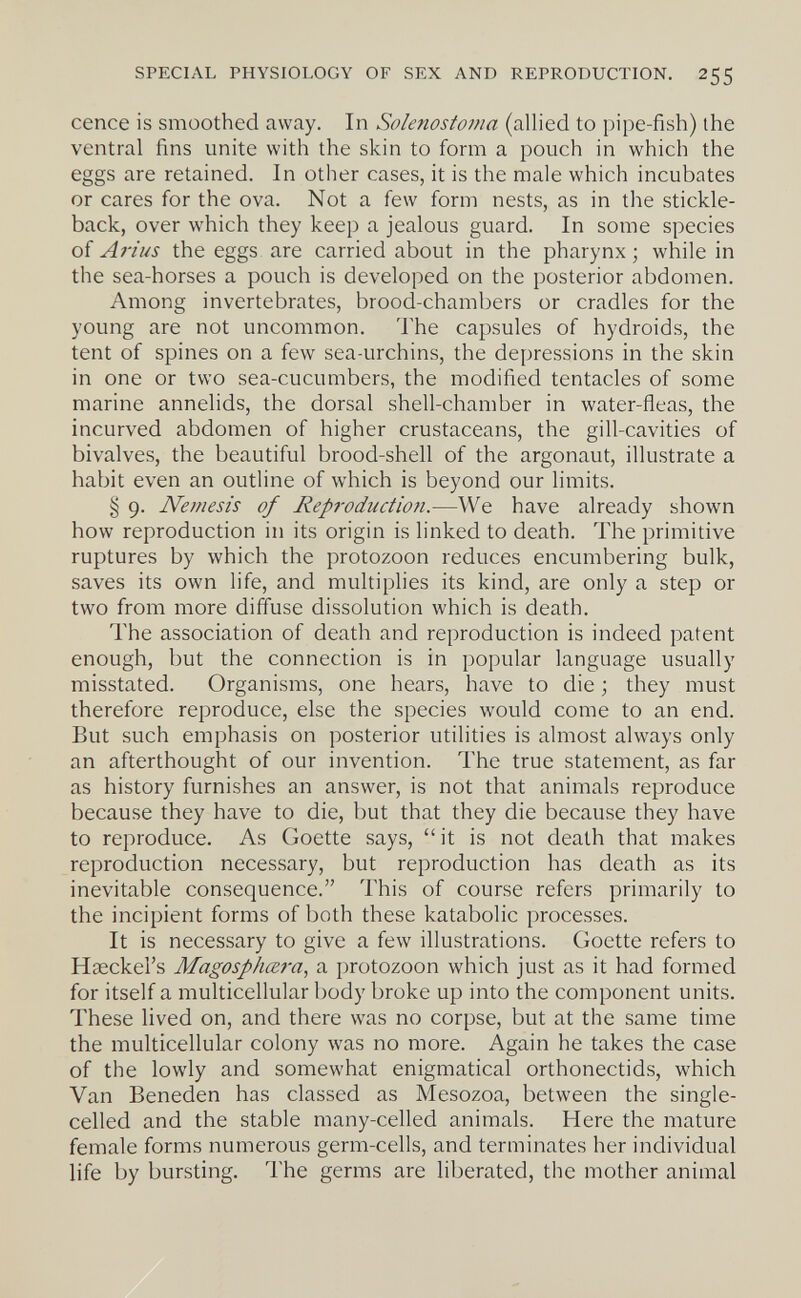 SPECIAL PHYSIOLOGY OF SEX AND REPRODUCTION. 255 cence is smoothed away. In Solenostoma (allied to pipe-fish) the ventral fins unite with the skin to form a pouch in which the eggs are retained. In other cases, it is the male which incubates or cares for the ova. Not a few form nests, as in the stickle¬ back, over which they keep a jealous guard. In some species of Ariiis the eggs are carried about in the pharynx; while in the sea-horses a pouch is developed on the posterior abdomen. Among invertebrates, brood-chambers or cradles for the young are not uncommon. The capsules of hydroids, the tent of spines on a few sea-urchins, the depressions in the skin in one or two sea-cucumbers, the modified tentacles of some marine annelids, the dorsal shell-chamber in water-ñeas, the incurved abdomen of higher crustaceans, the gill-cavities of bivalves, the beautiful brood-shell of the argonaut, illustrate a habit even an outline of which is beyond our limits. § 9. Nemesis of Reproduction.—We have already shown how reproduction in its origin is linked to death. The primitive ruptures by which the protozoon reduces encumbering bulk, saves its own life, and multiplies its kind, are only a step or two from more diifuse dissolution which is death. The association of death and reproduction is indeed patent enough, but the connection is in popular language usually misstated. Organisms, one hears, have to die ; they must therefore reproduce, else the species would come to an end. But such emphasis on posterior utilities is almost always only an afterthought of our invention. The true statement, as far as history furnishes an answer, is not that animals reproduce because they have to die, but that they die because they have to reproduce. As Goette says,  it is not death that makes reproduction necessary, but reproduction has death as its inevitable consequence. This of course refers primarily to the incipient forms of both these katabolic processes. It is necessary to give a few illustrations. Goette refers to Hasckel's Magosph<Z7-a, a protozoon which just as it had formed for itself a multicellular body broke up into the component units. These lived on, and there was no corpse, but at the same time the multicellular colony was no more. Again he takes the case of the lowly and somewhat enigmatical orthonectids, which Van Beneden has classed as Mesozoa, between the single- celled and the stable many-celled animals. Here the mature female forms numerous germ-cells, and terminates her individual life by bursting. The germs are liberated, the mother animal