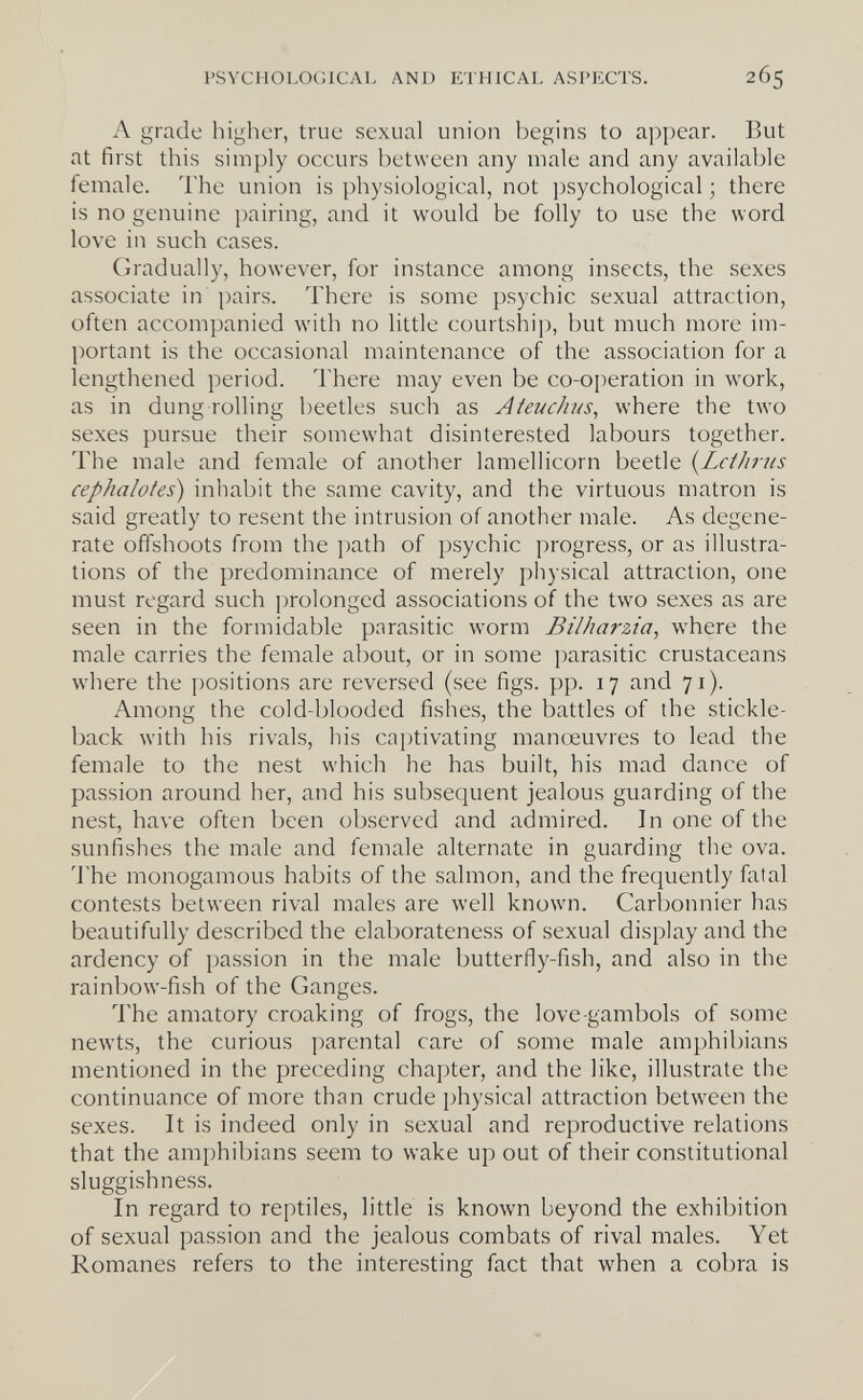 PSYCHOLOGICAL AND ETHICAL ASPECTS. 265 A grade higher, true sexual union begins to appear. But at first this simply occurs between any male and any available female. I'he union is physiological, not psychological ; there is no genuine pairing, and it would be folly to use the word love in such cases. Gradually, however, for instance among insects, the sexes associate in pairs. There is some psychic sexual attraction, often accompanied with no little courtship, but much more im¬ portant is the occasional maintenance of the association for a lengthened period. There may even be co-oi)eration in work, as in dung rolling beetles such as Afeuch?/s, where the two sexes pursue their somewhat disinterested labours together. The male and female of another lamellicorn beetle {Lcthrus cephalotes) inhabit the same cavity, and the virtuous matron is said greatly to resent the intrusion of another male. As degene¬ rate offshoots from the path of psychic progress, or as illustra¬ tions of the predominance of merely physical attraction, one must regard such prolonged associations of the two sexes as are seen in the formidable parasitic worm Bilharzia, where the male carries the female about, or in some parasitic crustaceans where the positions are reversed (see figs. pp. 17 and 71). Among the cold-blooded fishes, the battles of the stickle¬ back with his rivals, his cai)tivating manœuvres to lead the female to the nest which he has built, his mad dance of passion around her, and his subsequent jealous guarding of the nest, have often been observed and admired. In one of the sunfishes the male and female alternate in guarding the ova. 'I'he monogamous habits of the salmon, and the frequently fatal contests between rival males are well known. Carbonnier has beautifully described the elaborateness of sexual display and the ardency of passion in the male butterfly-fish, and also in the rainbow-fish of the Ganges. The amatory croaking of frogs, the love-gambols of some newts, the curious parental care of some male amphibians mentioned in the preceding chapter, and the like, illustrate the continuance of more than crude physical attraction between the sexes. It is indeed only in sexual and reproductive relations that the amphibians seem to wake up out of their constitutional sluggishness. In regard to reptiles, little is known beyond the exhibition of sexual passion and the jealous combats of rival males. Yet Romanes refers to the interesting fact that when a cobra is