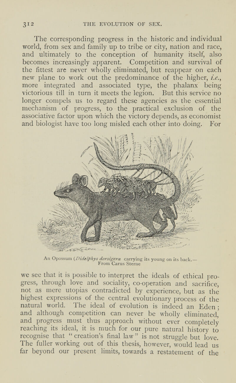 312 THE EVOLUTION OF SEX. The corresponding progress in the historic and individual world, from sex and family up to tribe or city, nation and race, and ultimately to the conception of humanity itself, also becomes increasingly apparent. Competition and survival of the fittest are never wholly eliminated, but reappear on each new plane to work out the predominance of the higher, i.e., more integrated and associated type, the phalanx being victorious till in turn it meets the legion. But this service no longer compels us to regard these agencies as the essential mechanism of progress, to the practical exclusion of the associative factor upon which the victory depends, as economist and biologist have too long misled each other into doing. For An Opossum {Didelphys dorsigera carrying its young on its back.— From Carus Sterne we see that it is possible to interpret the ideals of ethical pro¬ gress, through love and sociality, co-operation and sacrifice, not as mere utopias contradicted by experience, but as the highest expressions of the central evolutionary process of the natural world. The ideal of evolution is indeed an Eden ; and although competition can never be wholly eliminated, and progress must thus approach without ever completely reaching its ideal, it is much for our pure natural history to recognise that  creation's final law  is not struggle but love. The fuller working out of this thesis, however, would lead us far beyond our present limits, towards a restatement of the