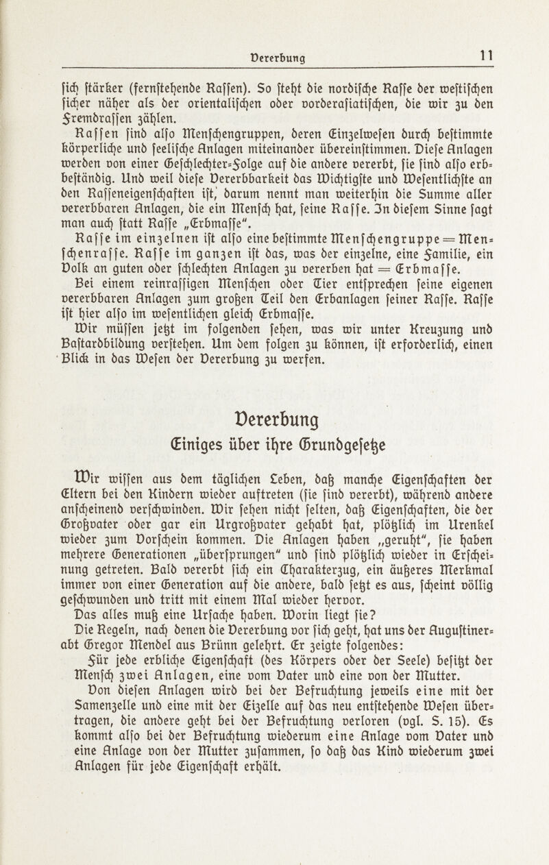 ücrerbuttg 11 fid) ftärber (fcrnftcijenbe Raffen). So fte^t òie norbifc^c Roffe ber toeftif^en fiájer näi)cr als ber oricntalifcíjen ober Dorberafiatif(í)cn, òic roir зи ben 5rembrûffen jaíjlen. Raffen finb alfe ÎÏÏenfcijengruppen, beren (Ein3eIroefcn Ьигф beftimmtc íi0rperlicí)e unb fcelif(í)e Anlagen miteinanber übereinftimmen. Diefe Anlagen toerben Don einer ©cf(i)Ied)ter=SoIge auf bie anbere oererbt, fie finb alfo erb= beftänbig. Unb toeil biefe Dererbbariieit bas IDic^tigfte unb tPefentliájfte an ben Raffeneigenfcí)aften ift,' barum nennt man roeiteríjin bie Summe aller oererbbaren Anlagen, bie ein ITIenfci) í)at, feine Raffe. 3n biefem Sinne fagt man aud) ftatt Raffe „(Erbmaffe. Raffe im einseinen ift alfo einebeftimmteÎÏÏenfcijcngruppe = Шеп® fájenraffe. Raffe imgansen ift bas, toas ber einselne, eine San^ilic, ein üolíi an guten ober f(í)Ie(í)ten Anlagen зи oererben í)at = (Erbmaffe. Bei einem reinraffigen ÎÏÏenfci)en ober Sier entfpredien feine eigenen oererbbaren Anlagen 3um großen tEeil ben (Erbanlagen feiner Roffe. Raffe ift i)ier alfo im roefentlicijen gleiá) (Erbmaffe. IDir müffen je^t im folgenben feigen, toas mir unter Кгеизипд unb Baftarbbilbung oerfteíjen. Um bem folgen зи iiönnen, ift erforberli^, einen Blieb in bas ÏDefen ber Dererbung зи œerfen. Dererbung (Einiges über ií)re (5runbge¡e^e IDir toiffen aus bem täglid)en Ceben, ba^ тапфс (Eigenf^aften ber (Eltern bei ben Kinbern toieber auftreten (fie finb oererbt), raäi^renb anbere anfdjeinenb Derfájroinben. ÏDir fel)en niájt feiten, ba^ (Eigenfi^aften, bie ber (Bro^oater ober gar ein Urgro^oater gei)abt i^at, plö^Iic^ im Urenbel toieber 3um t)orf(i]ein kommen. Die Anlagen Ijaben „geruht, fie íjaben meí)rere (Benerationen „überfprungen unb finb plo^Iiá) toieber in (Erfájei^ nung getreten. Balb oererbt fid) ein (E^araiiter3ug, ein äußeres ITlerimal immer oon einer (Seneration auf bie anbere, balb fe^t es aus, f^eint oöllig gef<i)rDunben unb tritt mit einem ÎÏÏal toieber 1)егоог. Das alles mu^ eine Urfaá)e í)aben. ÏOorin liegt fie? Die Regeln, паф benen bie Dererbung oor fiá) gel)t, i^at uns ber Auguftiner» abt (Bregor ÎÏÏenbel aus Brünn geletjrt. (Er 3eigte folgenbes: 5ür jebe erbliáje (Eigenfájaft (bes Körpers ober ber Seele) befi^t ber ÎÏÏenfà) 3roci Anlagen, eine com Dater unb eine oon ber lïïutter. Don Siefen Anlagen toirb bei ber Befruájtung ieroeils eine mit ber Samen3eIIe unb eine mit ber (Eiselle auf bas neu entfteijenbc îDefen über« tragen, bie anbere getjt bei ber Befruájtung oerloren (ogl. S. 15). (Es bommt alfo bei ber Befrucí)tung toieberum eine Anlage oom Dater unb eine Anlage oon ber lÏÏutter 3ufammen, fo ba^ bas Kinb ujieberum 3tDei Anlagen für jebe (Eigenfájaft erhält.