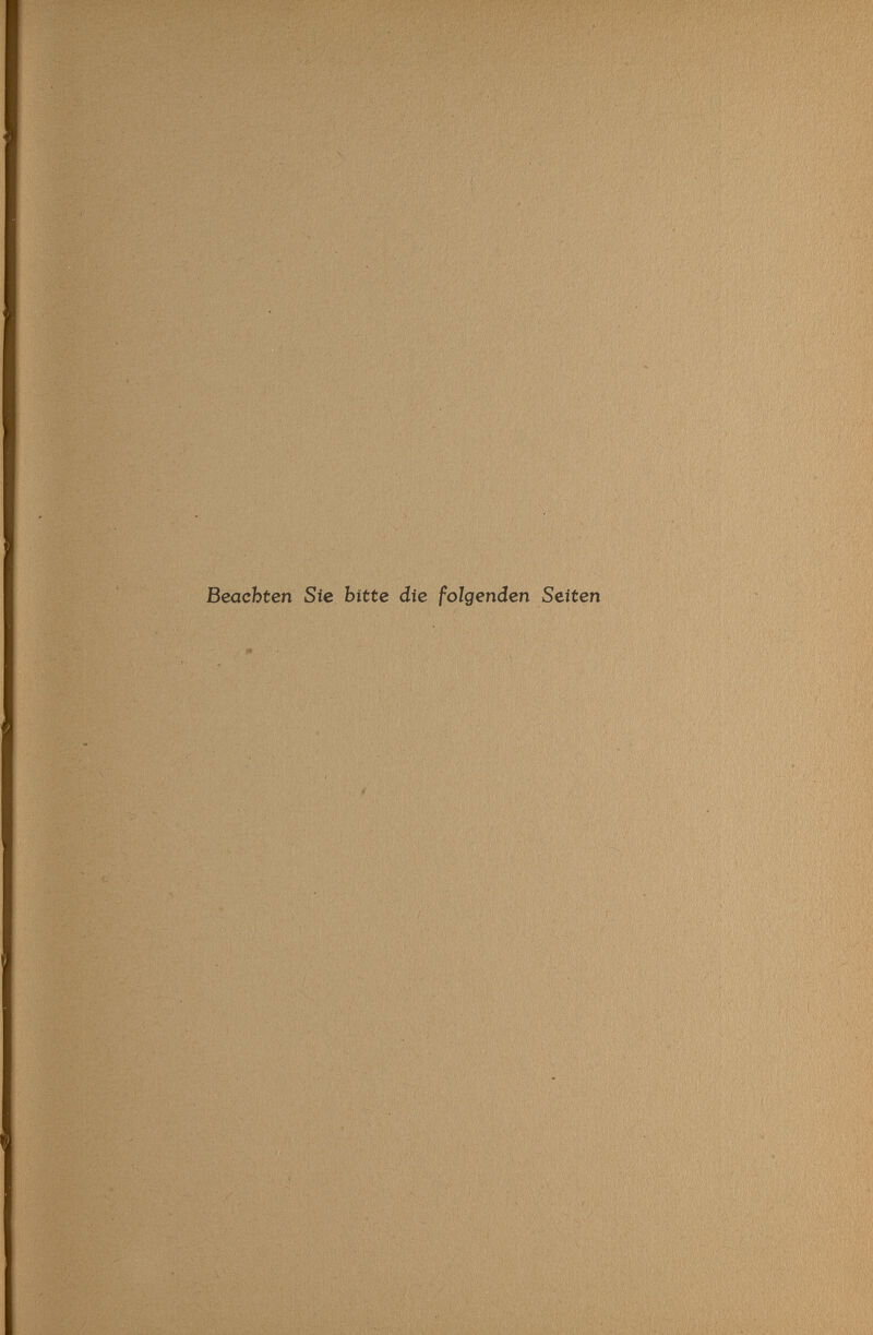 Beachten Sie bitte die folgenden Seiten