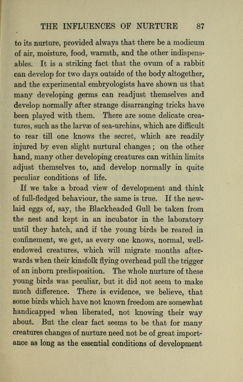 to its nurture, provided always that there be a modicum of air, moisture, food, warmth, and the other indispens- ables. It is a striking fact that the ovum of a rabbit can develop for two days outside of the body altogether, and the experimental embryologists have shown us that many developing germs can readjust themselves and develop normally after strange disarranging tricks have been played with them. There are some delicate crea tures, such as the larvae of sea-urchins, which are difficult to rear till one knows the secret, which are readily injured by even slight nurtural changes; on the other hand, many other developing creatures can within limits adjust themselves to, and develop normally in quite peculiar conditions of life. If we take a broad view of development and think of full-fledged behaviour, the same is true. If the new- laid eggs of, say, the Blackheaded Gull be taken from the nest and kept in an incubator in the laboratory until they hatch, and if the young birds be reared in confinement, we get, as every one knows, normal, well- endowed creatures, which will migrate months after wards when their kinsfolk flying overhead pull the trigger of an inborn predisposition. The whole nurture of these young birds was peculiar, but it did not seem to make much difference. There is evidence, we believe, that some birds which have not known freedom are somewhat handicapped when liberated, not knowing their way about. But the clear fact seems to be that for many creatures changes of nurture need not be of great import ance as long as the essential conditions of development