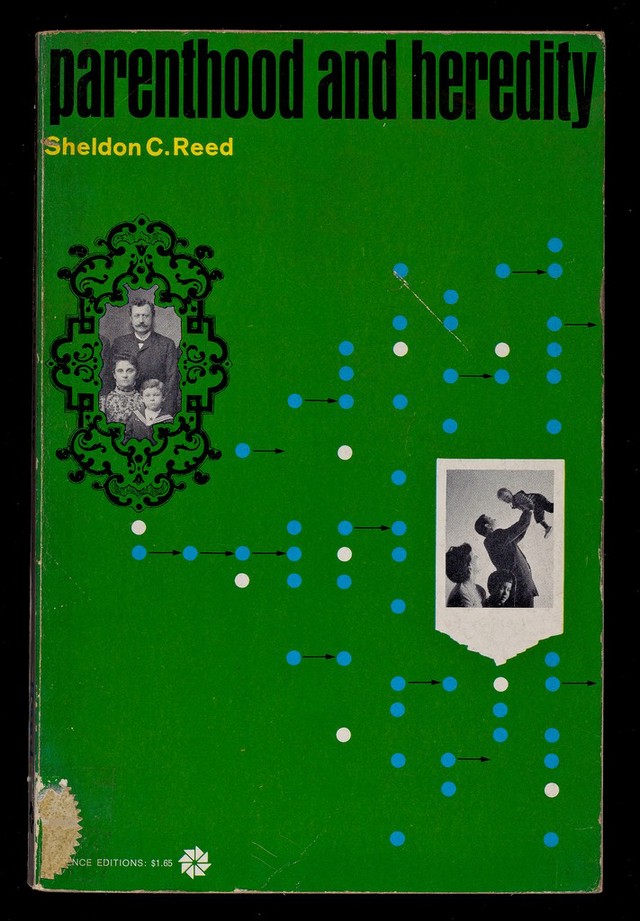 digitised image 1
