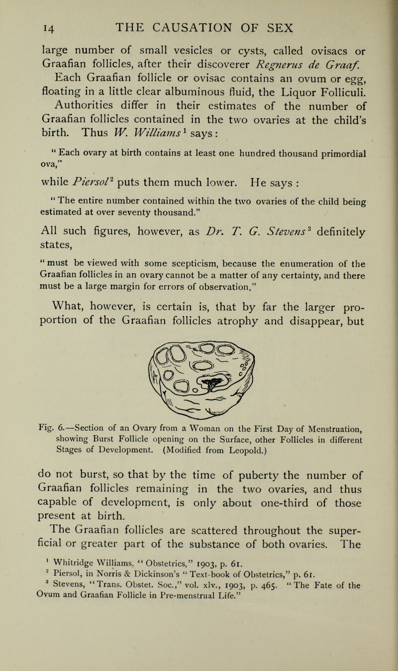 14 THE CAUSATION OF SEX large number of small vesicles or cysts, called ovisacs or Graafian follicles, after their discoverer Regnerus de Graaf. Each Graafian follicle or ovisac contains an ovum or egg, floating in a little clear albuminous fluid, the Liquor Folliculi. Authorities differ in their estimates of the number of Graafian follicles contained in the two ovaries at the child's birth. Thus W. Williams ^ says :  Each ovary at birth contains at least one hundred thousand primordial ova, while Piersol^ puts them much lower. He says :  The entire number contained within the two ovaries of the child being estimated at over seventy thousand. All such figures, however, as Dr. T. G. Stevens^ definitely states,  must be viewed with some scepticism, because the enumeration of the Graafian follicles in an ovary cannot be a matter of any certainty, and there must be a large margin for errors of observation. What, however, is certain is, that by far the larger pro¬ portion of the Graafian follicles atrophy and disappear, but Fig. 6.—Section of an Ovary from a Woman on the First Day of Menstruation, showing Burst Follicle opening on the Surface, other Follicles in different Stages of Development. (Modified from Leopold.) do not burst, so that by the time of puberty the number of Graafian follicles remaining in the two ovaries, and thus capable of development, is only about one-third of those present at birth. The Graafian follicles are scattered throughout the super¬ ficial or greater part of the substance of both ovaries. The ' Whitridge Williams, Obstetrics, 1903, p. 61. Piersol, in Norris & Dickinson's  Text-book of Obstetrics, p. 61. ' Stevens, Trans. Obstet. Soc., vol. xlv., 1903, p. 465. The Fate of the Ovum and Graafian Follicle in Pre-menstrual Life.