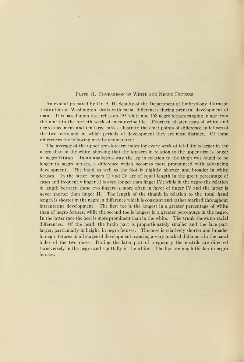 Plate 11. Comparison of White and Negro Fetuses An exhibit prepared by Dr. A. H. Schultz of the Department of Embryology, Carnegie Institution of Washington, deals with racial differences during prenatal development of man. It is based upon researches on 4-55 white and 168 negro fetuses ranging in age from the ninth to the fortieth week of intrauterine life. Fourteen plaster casts of white and negro specimens and ten large tables illustrate the chief points of difference in fetuses of the two races and in which periods of development they are most distinct. Of these differences the following may be enumerated: The average of the upper arm-forearm index for every week of fetal life is larger in the negro than in the white, showing that the forearm in relation to the upper arm is longer in negro fetuses. In an analogous way the leg in relation to the thigh was found to be longer in negro fetuses, a difference which becomes more pronounced with advancing development. The hand as well as the foot is slightly shorter and broader in white fetuses. In the latter, fingers II and IV are of equal length in the great percentage of cases and frequently finger II is even longer than finger IV ; while in the negro the relation in length between these two fingers is more often in favor of finger IV and the latter is never shorter than finger II. The length of the thumb in relation to the total hand length is shorter in the negro, a difference which is constant and rather marked throughout intrauterine development. The first toe is the longest in a greater percentage of white than of negro fetuses, while the second toe is longest in a greater percentage in the negro. In the latter race the heel is more prominent than in the white. The trunk shows no racial differences. Of the head, the brain part is proportionately smaller and the face part larger, particularly in height, in negro fetuses. The nose is relatively shorter and broader in negro fetuses in all stages of development, causing a very marked difference in the nasal index of the two races. During the later part of pregnancy the nostrils are directed transversely in the negro and sagittally in the white. The lips are much thicker in negro fetuses.