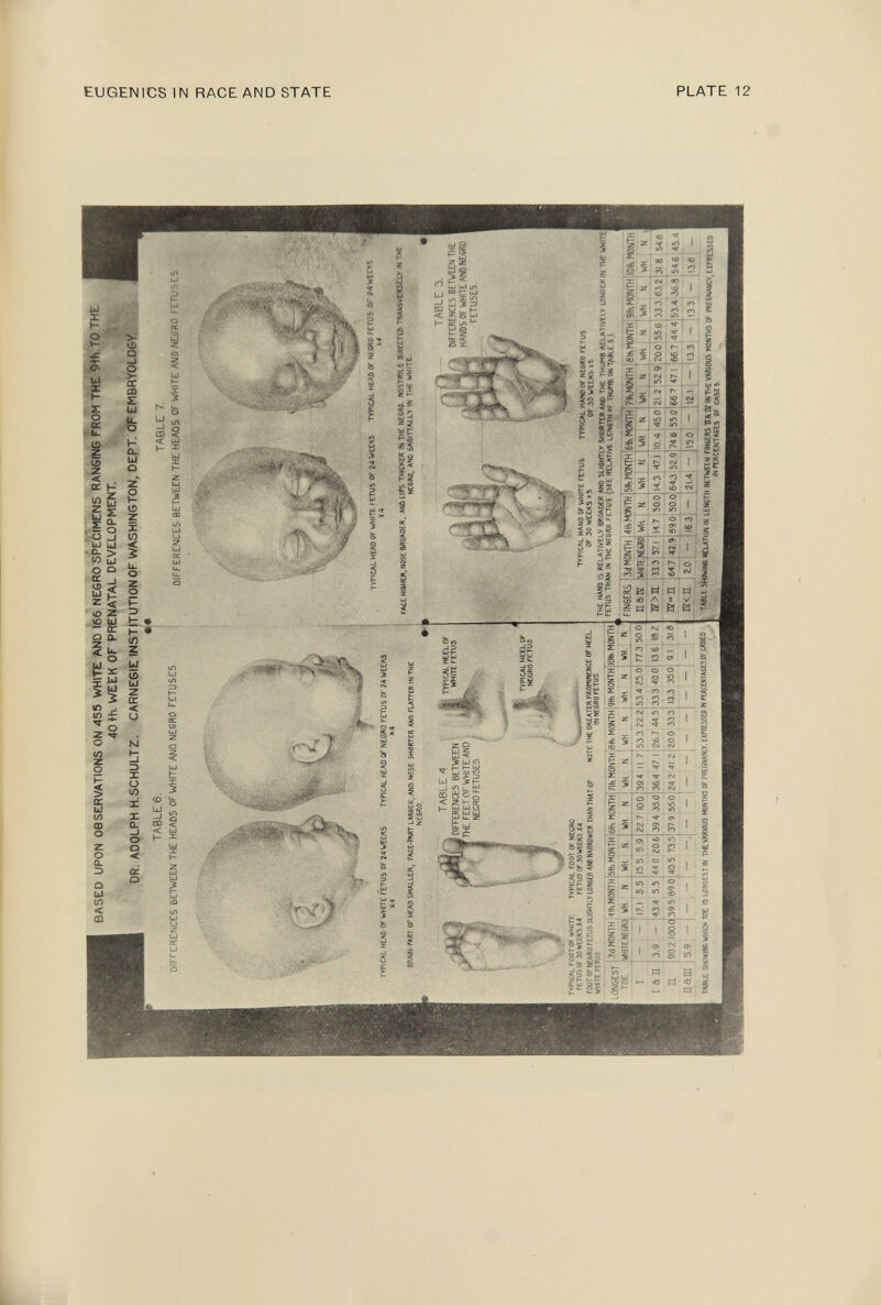 EUGENICS IN RACE AND STATE PLATE 12