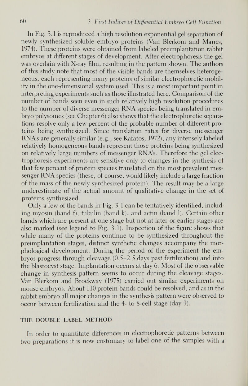 60 3. First Indices of Differential Embryo Cell Function In Fig. 3.1 is reproduced a high resolution exponential gel separation of newly synthesized soluble embryo proteins (Van Blerkom and Manes, 1974). These proteins were obtained from labeled preimplantation rabbit embryos at different stages of development. After electrophoresis the gel was overlain with X-ray film, resulting in the pattern shown. The authors of this study note that most of the visible bands are themselves heteroge¬ neous, each representing many proteins of similar electrophoretic mobil¬ ity in the one-dimensional system used. This is a most important point in interpreting experiments such as those illustrated here. Comparison of the number of bands seen even in such relatively high resolution procedures to the number of diverse messenger RNA species being translated in em¬ bryo polysomes (see Chapter 6) also shows that the electrophoretic separa¬ tions resolve only a few percent of the probable number of different pro¬ teins being synthesized. Since translation rates for diverse messenger RNA's are generally similar (e.g., see Kafatos, 1972), any intensely labeled relatively homogeneous bands represent those proteins being synthesized on relatively large numbers of messenger RNAs. Therefore the gel elec¬ trophoresis experiments are sensitive only to changes in the synthesis of that few percent of protein species translated on the most prevalent mes¬ senger RNA species (these, of course, would likely include a large fraction of the mass of the newly synthesized protein). The result may be a large underestimate of the actual amount of qualitative change in the set of proteins synthesized. Only a few of the bands in Fig. 3.1 can be tentatively identified, includ¬ ing myosin (band f), tubulin (band k), and actin (band 1). Certain other bands which are present at one stage but not at later or earlier stages are also marked (see legend to Fig. 3.1). Inspection of the figure shows that while many of the proteins continue to be synthesized throughout the preimplantation stages, distinct synthetic changes accompany the mor¬ phological development. During the period of the experiment the em¬ bryos progress through cleavage (0.5-2.5 days past fertilization) and into the blastocyst stage. Implantation occurs at day 6. Most of the observable change in synthesis pattern seems to occur during the cleavage stages. Van Blerkom and Brockway (1975) carried out similar experiments on mouse embryos. About 110 protein bands could be resolved, and as in the rabbit embryo all major changes in the synthesis pattern were observed to occur between fertilization and the 4- to 8-cell stage (day 3). THE DOUBLE LABEL METHOD In order to quantitate differences in electrophoretic patterns between two preparations it is now customary to label one of the samples with a