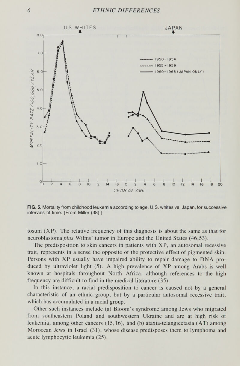 6 ETHNIC DIFFERENCES US 8 Or 7 0 6 0 5.0 4 0 3 0 2.0 1.0- WH 4 TES JAPAN г 1950-1954 — 1955 - 1959 — 1960-1963 (JAPAN ONLY) 8 10 14 16 0 2 4 rF/ífí OF AGE 8 10 12 14 16 18 20 FIG. 5. Mortality from childhood leukemia according to age, U.S. whites vs. Japan, for successive intervals of time. [From Miller (38).] tosum (XP). The relative frequency of this diagnosis is about the same as that for neuroblastoma plus Wilms' tumor in Europe and the United States (46,53). The predisposition to skin cancers in patients with XP, an autosomal recessive trait, represents in a sense the opposite of the protective effect of pigmented skin. Persons with XP usually have impaired ability to repair damage to DNA pro¬ duced by ultraviolet light (5). A high prevalence of XP among Arabs is well known at hospitals throughout North Africa, although references to the high frequency are difficult to find in the medical literature (35). In this instance, a racial predisposition to cancer is caused not by a general characteristic of an ethnic group, but by a particular autosomal recessive trait, which has accumulated in a racial group. Other such instances include (a) Bloom's syndrome among Jews who migrated from southeastern Poland and southwestern Ukraine and are at high risk of leukemia, among other cancers (15,16), and (b) ataxia-telangiectasia (AT) among Moroccan Jews in Israel (31), whose disease predisposes them to lymphoma and acute lymphocytic leukemia (25).