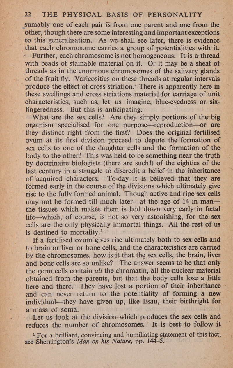_sumably one of each pair is from one parent and one from the other, though there are some interesting and important exceptions to this generalisation. As we shall see later, there is evidence that each chromosome carries a group of potentialities with it. ' Further, each chromosome is not homogeneous. It is a thread with beads of stainable material on it. Or it may be a sheaf of threads as in the enormous chromosomes of the salivary glands of the fruit fly. Varicosities on these threads at regular intervals produce the effect of cross striation.' There is apparently here in these swellings and cross striations material for carriage of unit characteristics, such as, let us imagine, blue-eyedness or six- fingeredness. But this is anticipating. What are the sex cells? Are they simply portions of the big organism specialised for one purpose—-reproduction—or are they distinct right from the first? Does the original fertilised ovum at its first division proceed to depute the formation of sex cells to one of the daughter cells and the formation of the body to the other? This was held to be something near the truth by doctrinaire biologists (there are such!) of the eighties of the last century in a struggle to discredit a belief in the inheritance of acquired characters. To-day it is believed that they are formed early in the course of the divisions which ultimately give rise to the fully formed animal. Though active and ripe sex cells may not be formed till much later—at the age of 14 in man— the tissues which makes them is laid down very early in foetal life—which, of course, is not so very astonishing, for the sex cells are the only physically immortal things. All the rest of us is destined to mortality. 1 If a fertilised ovum gives rise ultimately both to sex cells and to brain or liver or bone cells, and the characteristics are carried by the chromosomes, how is it that the sex cells, the brain, liver and bone cells are so unlike? The answer seems to be that only the germ cells contain all the chromatin, all the nuclear material obtained from the parents, but that the body cells lose a little here and there. They have lost a portion of their inheritance and can never return to the potentiality of forming a new individual—they have given up, like Esau, their birthright for a mass of soma. Let us look at the division which produces the sex cells and reduces the number of chromosomes. It is best to follow it 1 For a brilliant, convincing and humiliating statement of this fact, see Sherrington's Man on his Nature, pp. 144-5.