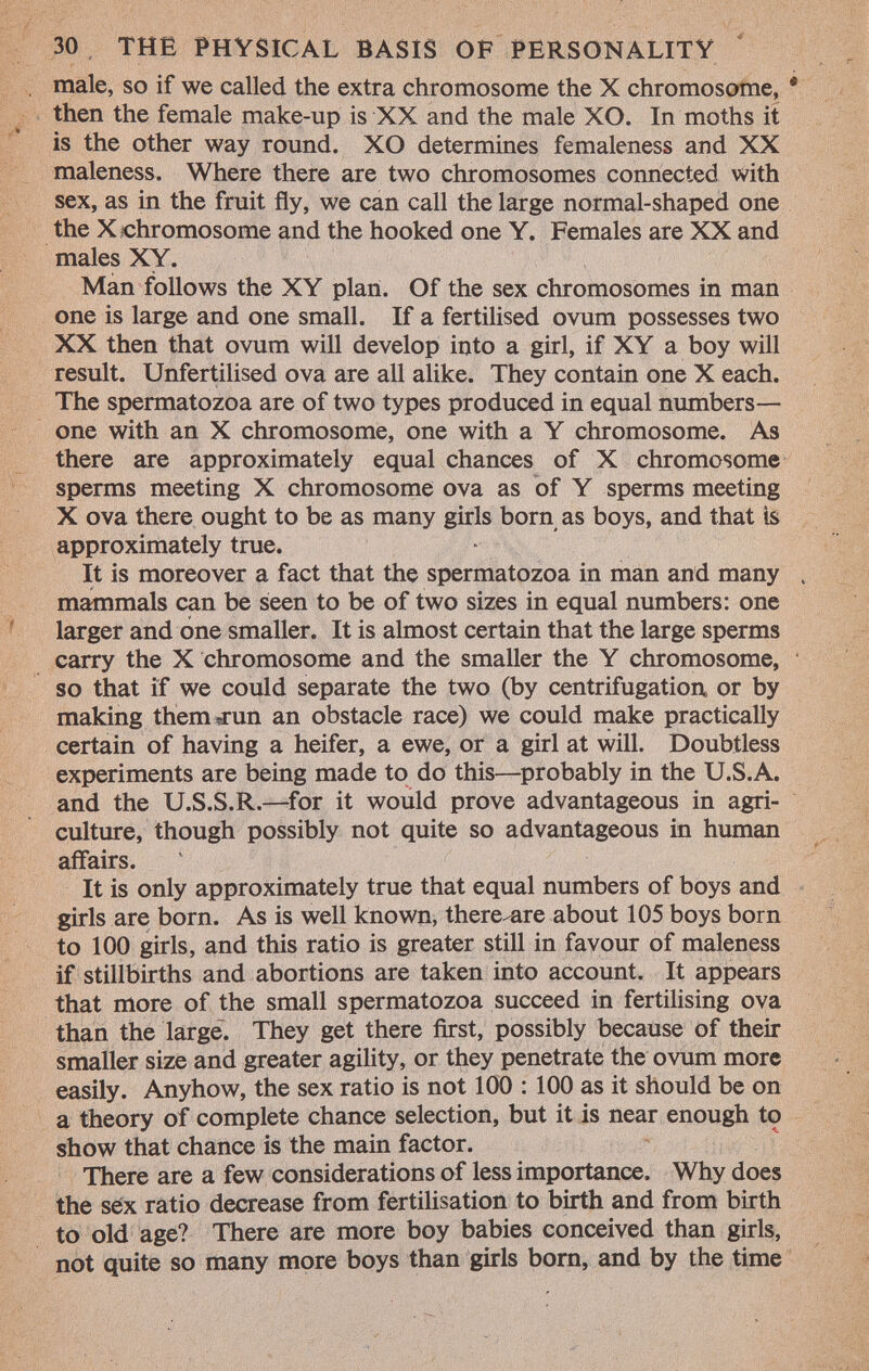 male, so if we called the extra chromosome the X chromosome, * then the female make-up is XX and the male XO. In moths it is the other way round. XO determines femaleness and XX maleness. Where there are two chromosomes connected with sex, as in the fruit fly, we can call the large normal-shaped one the X chromosome and the hooked one Y. Females are XX and males XY. Man follows the XY plan. Of the sex chromosomes in man one is large and one small. If a fertilised ovum possesses two XX then that ovum will develop into a girl, if XY a boy will result. Unfertilised ova are all alike. They contain one X each. The spermatozoa are of two types produced in equal numbers— one with an X chromosome, one with a Y chromosome. As there are approximately equal chances of X chromosome sperms meeting X chromosome ova as of Y sperms meeting X ova there ought to be as many girls born as boys, and that is approximately true. It is moreover a fact that the spermatozoa in man and many , mammals can be seen to be of two sizes in equal numbers: one larger and one smaller. It is almost certain that the large sperms carry the X chromosome and the smaller the Y chromosome, so that if we could separate the two (by centrifugation or by making them «run an obstacle race) we could make practically certain of having a heifer, a ewe, or a girl at will. Doubtless experiments are being made to do this—probably in the U.S.A. and the U.S.S.R.—for it would prove advantageous in agri culture, though possibly not quite so advantageous in human affairs. It is only approximately true that equal numbers of boys and girls are born. As is well known, there^are about 105 boys born to 100 girls, and this ratio is greater still in favour of maleness if stillbirths and abortions are taken into account. It appears that more of the small spermatozoa succeed in fertilising ova than the large. They get there first, possibly because of their smaller size and greater agility, or they penetrate the ovum more easily. Anyhow, the sex ratio is not 100 : 100 as it should be on a theory of complete chance selection, but it is near enough to show that chance is the main factor. There are a few considerations of less importance. Why does the sëx ratio decrease from fertilisation to birth and from birth to old age? There are more boy babies conceived than girls, not quite so many more boys than girls born, and by the time