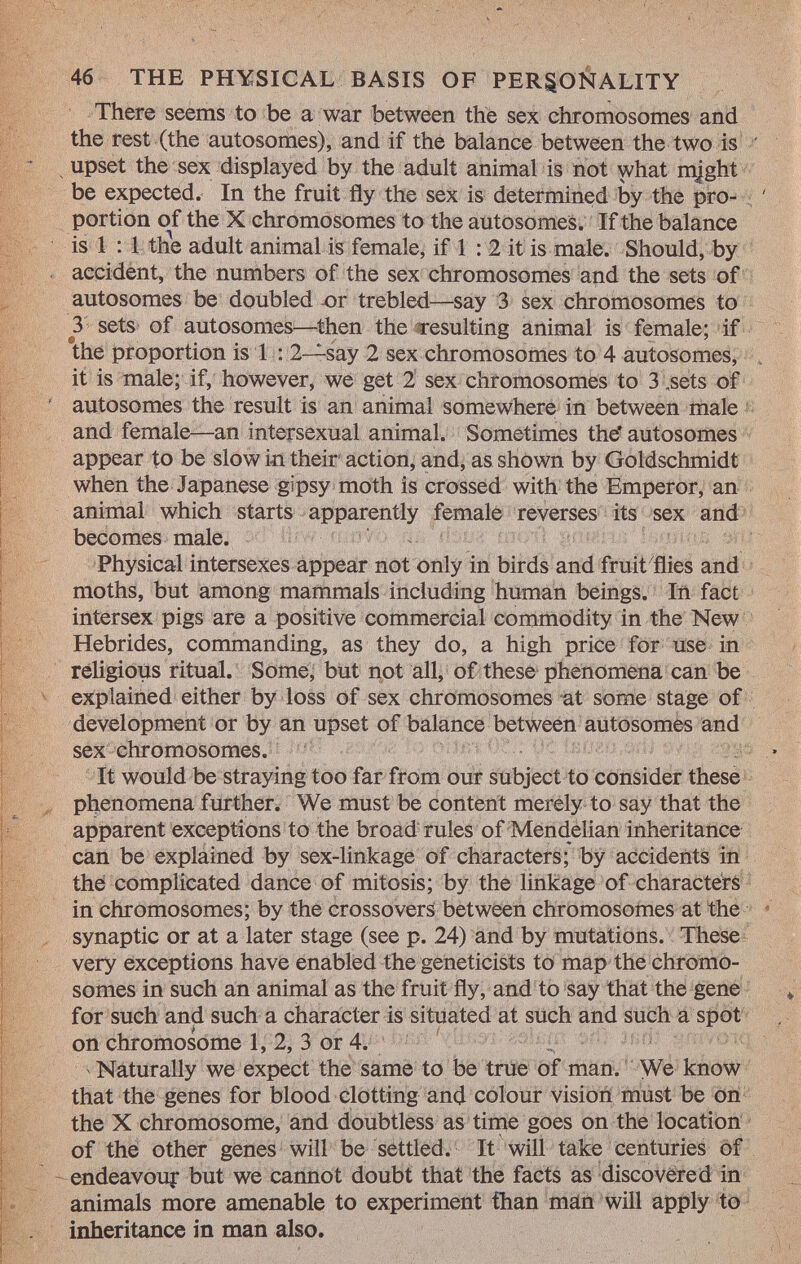 There seems to be a war between the sex chromosomes and the rest (the autosomes), and if the balance between the two is upset the sex displayed by the adult animal is not what might be expected. In the fruit fly the sex is determined by the pro portion of the X chromosomes to the autosomes. If the balance is 1 : 1 the adult animal is female, if 1 : 2 it is male. Should, by accident, the numbers of the sex chromosomes and the sets of autosomes be doubled or trebled—say 3 sex chromosomes to 3 sets of autosomes—-then the resulting animal is female; if the proportion is 1 : 2—say 2 sex chromosomes to 4 autosomes, it is male; if, however, we get 2 sex chromosomes to 3 „sets of autosomes the result is an animal somewhere in between male and female—an intersexual animal. Sometimes the* autosomes appear to be slow in their action, and, as shown by Goldschmidt when the Japanese gipsy moth is crossed with the Emperor, an animal which starts apparently female reverses its sex and becomes male. Physical intersexes appear not only in birds and fruit flies and moths, but among mammals including human beings. In fact intersex pigs are a positive commercial commodity in the New Hebrides, commanding, as they do, a high price for use in religious ritual. Some, but not all, of these phenomena can be explained either by loss of sex chromosomes at some stage of development or by an upset of balance between autosomes and sex chromosomes. It would be straying too far from our subject to consider these phenomena further. We must be content merely to say that the apparent exceptions to the broad rules of Mendelian inheritance can be explained by sex-linkage of characters; by accidents in the complicated dance of mitosis; by the linkage of characters in chromosomes; by the crossovers between chromosomes at the synaptic or at a later stage (see p. 24) and by mutations. These very exceptions have enabled the geneticists to map the chromo somes in such an animal as the fruit fly, and to say that the gene for such and such a character is situated at such and such a spot on chromosome 1, 2, 3 or 4. Naturally we expect the same to be true of man. We know that the genes for blood clotting and colour vision must be on the X chromosome, and doubtless as time goes on the location of the other genes will be settled. It will take centuries of endeavour but we cannot doubt that the facts as discovered in animals more amenable to experiment than man will apply to inheritance in man also.