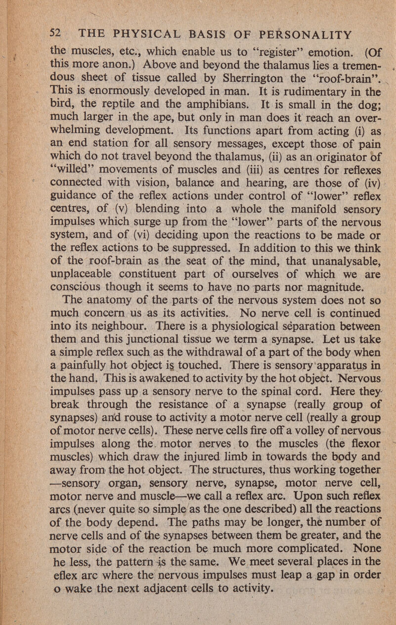 the muscles, etc., which enable us to register emotion. (Of this more anon.) Above and beyond the thalamus lies a tremen dous sheet of tissue called by Sherrington the roof-brain. This is enormously developed in man. It is rudimentary in the bird, the reptile and the amphibians. It is small in the dog; much larger in the ape, but only in man does it reach an over whelming development. Its functions apart from acting (i) as an end station for all sensory messages, except those of pain which do not travel beyond the thalamus, (ii) as an originator of willed movements of muscles and (iii) as centres for reflexes connected with vision, balance and hearing, are those of (iv) guidance of the reflex actions under control of lower reflex centres, of (v) blending into a whole the manifold sensory impulses which surge up from the lower parts of the nervous system, and of (vi) deciding upon the reactions to be made or the reflex actions to be suppressed. In addition to this we think of the roof-brain as the seat of the mind, that unanalysable, unplaceable constituent part of ourselves of which we are conscious though it seems to have no parts nor magnitude. The anatomy of the parts of the nervous system does not so much concern us as its activities. No nerve cell is continued into its neighbour. There is a physiological séparation between them and this junctional tissue we term a synapse. Let us take a simple reflex such as the withdrawal of a part of the body when a painfully hot object is touched. There is sensory apparatus in the hand. This is awakened to activity by the hot object. Nervous impulses pass up a sensory nerve to the spinal cord. Here they- break through the resistance of a synapse (really group of synapses) and rouse to activity a motor nerve cell (really a group of motor nerve cells). These nerve cells fire off a volley of nervous impulses along the- motor nerves to the muscles (the flexor muscles) which draw the injured limb in towards the body and away from the hot object. The structures, thus working together —sensory organ, sensory nerve, synapse, motor nerve cell, motor nerve and muscle—we call a reflex arc. Upon such reflex arcs (never quite so simple as the one described) all the reactions of the body depend. The paths may be longer, the number of nerve cells and of the synapses between them be greater, and the motor side of the reaction be much more complicated. None he less, the pattern is the same. We meet several places in the eflex arc where the nervous impulses must leap a gap in order o wake the next adjacent cells to activity.