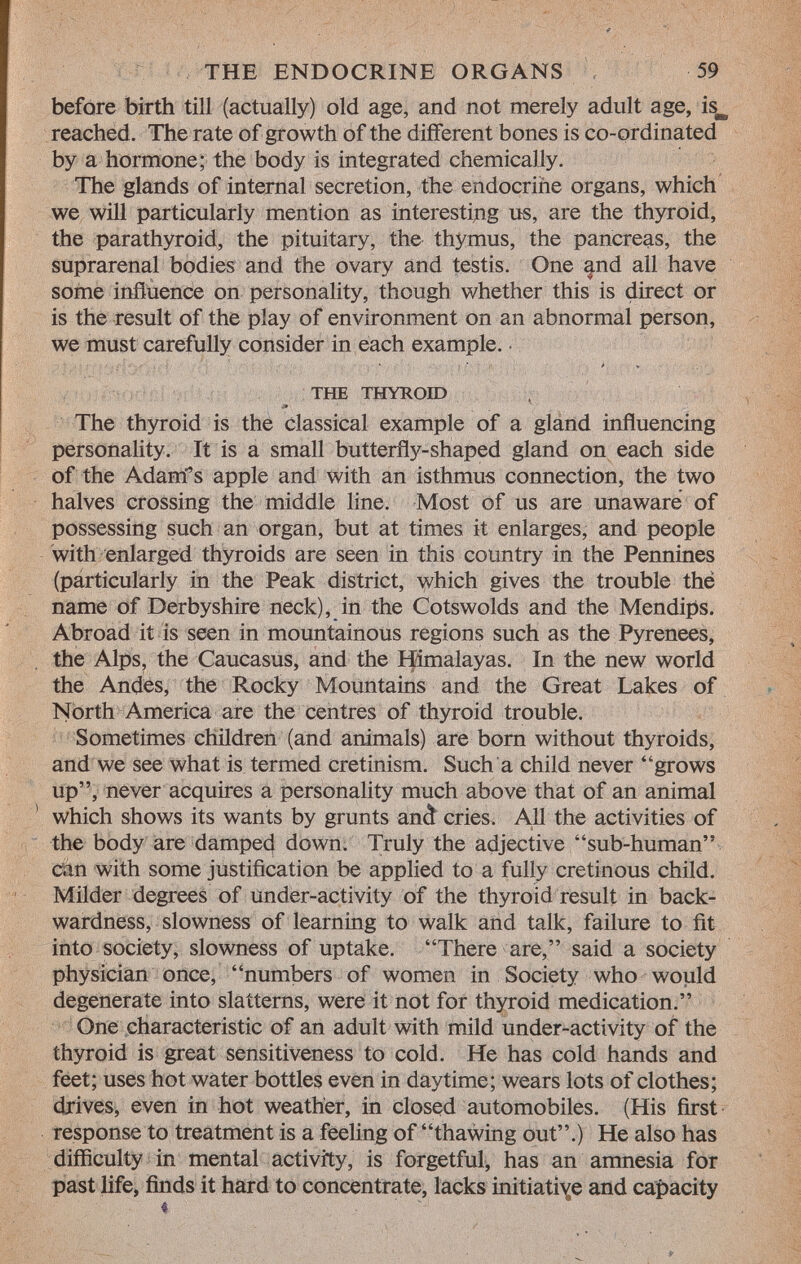 before birth till (actually) old age, and not merely adult age, is^ reached. The rate of growth of the different bones is co-ordinated by a hormone; the body is integrated chemically. The glands of internal secretion, the endocrine organs, which we will particularly mention as interesting us, are the thyroid, the parathyroid, the pituitary, the thymus, the pancreas, the suprarenal bodies and the ovary and testis. One and all have some influence on personality, though whether this is direct or is the result of the play of environment on an abnormal person, we must carefully consider in each example. the thyroid The thyroid is the classical example of a gland influencing personality. It is a small butterfly-shaped gland on each side of the Adairi's apple and with an isthmus connection, the two halves crossing the middle line. Most of us are unaware of possessing such an organ, but at times it enlarges, and people with enlarged thyroids are seen in this country in the Pennines (particularly in the Peak district, which gives the trouble the name of Derbyshire neck), in the Cotswolds and the Mendips. Abroad it is seen in mountainous regions such as the Pyrenees, the Alps, the Caucasus, and the Himalayas. In the new world the Andes, the Rocky Mountains and the Great Lakes of North America are the centres of thyroid trouble. Sometimes children (and animals) are born without thyroids, and we see what is termed cretinism. Such a child never grows up, never acquires a personality much above that of an animal which shows its wants by grunts anà cries. All the activities of the body are damped down. Truly the adjective sub-human Can with some justification be applied to a fully cretinous child. Milder degrees of under-activity of the thyroid result in back wardness, slowness of learning to walk and talk, failure to fit into society, slowness of uptake. There are, said a society physician once, numbers of women in Society who would degenerate into slatterns, were it not for thyroid medication. One characteristic of an adult with mild under-activity of the thyroid is great sensitiveness to cold. He has cold hands and feet; uses hot water bottles even in daytime; wears lots of clothes; drives, even in hot weather, in closed automobiles. (His first response to treatment is a feeling of thawing out.) He also has difficulty in mental activity, is forgetful, has an amnesia for past life, finds it hard to concentrate, lacks initiative and capacity