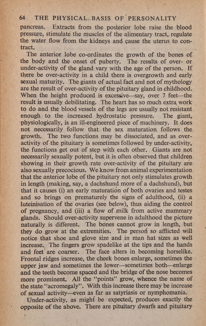 pancreas. Extracts from the posterior lobe raise the blood pressure, stimulate the muscles of the alimentary tract, regulate the water flow from the kidneys and cause the uterus to con tract. The anterior lobe co-ordinates the growth of the bones of the body and the onset of puberty. The results of over- or under-activity of the gland vary with the age of the person. If there be over-activity in a child there is overgrowth and early sexual maturity. The giants of actual fact and not of mythology are the result of over-activity of the pituitary gland in childhood. When the height produced is excessive—say, over 7 feet—the result is usually debilitating. The heart has so much extra work to do and the blood vessels of the legs are usually not resistant enough to the increased hydrostatic pressure. The giant, physiologically, is an ill-engineered piece of machinery. It does not necessarily follow that the sex maturation follows the growth. The two functions may be dissociated, and as over activity of the pituitary is sometimes followed by under-activity, the functions get out of step with each other. Giants are not necessarily sexually potent, but it is often observed that children showing in their growth rate over-activity of the pituitary are also sexually precocious. We know from animal experimentation that the anterior lobe of the pituitary not only stimulates growth in length (making, say, a dachshund more of a dachshund), but that it causes (i) an early maturation of both ovaries and testes and so brings on prematurely the signs of adulthood, (ii) a luteinisation of the ovaries (see below), thus aiding the control of pregnancy, and (iii) a flow of milk from active mammary glands. Should over-activity supervene in adulthood the picture naturally is different. The bones cannot grow in length, but they do grow at the extremities. The persoli so afflicted will notice that shoe and glove size and in man hat sizes as well increase. The fingers grow spadelike at the tips and the hands and feet are coarser. The face alters in becoming horselike. Frontal ridges increase, the cheek bones enlarge, sometimes the upper jaw and sometimes the lower—sometimes both—enlarge and the teeth become spaced and the bridge of the nose becomes more prominent. All the points grow, whence the name of the state acromegaly. With this increase there may be increase of sexual activity—even as far as satyriasis or nymphomania. Under-activity, as might be expected, produces exactly the opposite of the above. There are pituitary dwarfs and pituitary