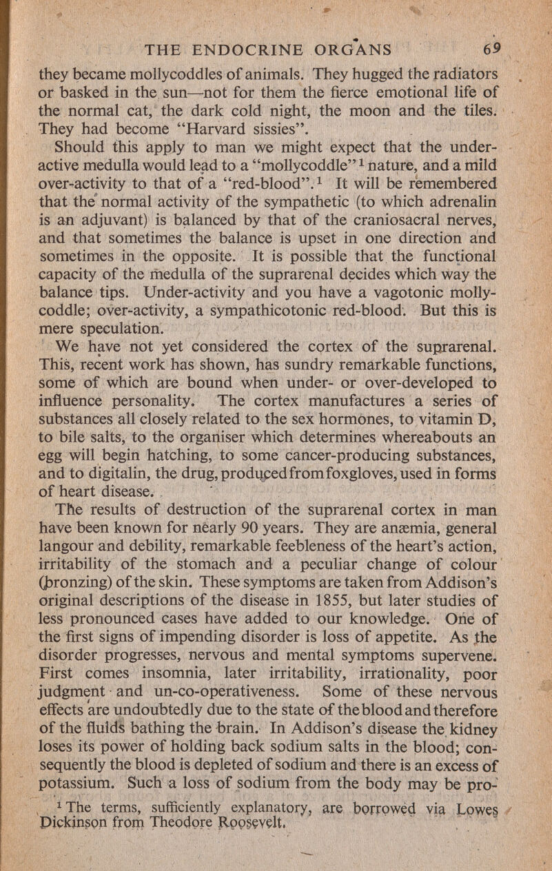 they became mollycoddles of animals. They hugged the radiators or basked in the sun—not for them the fierce emotional life of the normal cat, the dark cold night, the moon and the tiles. They had become Harvard sissies. Should this apply to man we might expect that the under active medulla would lead to a mollycoddle 1 nature, and a mild over-activity to that of a red-blood. 1 It will be remembered that the normal activity of the sympathetic (to which adrenalin is an adjuvant) is balanced by that of the craniosacral nerves, and that sometimes the balance is upset in one direction and sometimes in the opposite. It is possible that the functional capacity of the medulla of the suprarenal decides which way the balance tips. Under-activity and you have a vagotonic molly coddle; over-activity, a sympathicotonic red-blood. But this is mere speculation. We have not yet considered the cortex of the suprarenal. This, recent work has shown, has sundry remarkable functions, some of which are bound when under- or over-developed to influence personality. The cortex manufactures a series of substances all closely related to the sex hormones, to vitamin D, to bile salts, to the organiser which determines whereabouts an egg will begin hatching, to some cancer-producing substances, and to digitalin, the drug, produced from foxgloves, used in forms of heart disease. The results of destruction of the suprarenal cortex in man have been known for nearly 90 years. They are anaemia, general langour and debility, remarkable feebleness of the heart's action, irritability of the stomach and a peculiar change of colour (bronzing) of the skin. These symptoms are taken from Addison's original descriptions of the disease in 1855, but later studies of less pronounced cases have added to our knowledge. One of the first signs of impending disorder is loss of appetite. As the disorder progresses, nervous and mental symptoms supervene. First comes insomnia, later irritability, irrationality, poor judgment and un-co-operativeness. Some of these nervous effects are undoubtedly due to the state of the blood and therefore of the fluids bathing the brain. In Addison's disease the kidney loses its power of holding back sodium salts in the blood; con sequently the blood is depleted of sodium and there is an excess of potassium. Stich a loss of sodium from the body may be pro- ( 1 The terms, sufficiently explanatory, are borrowed via Lowes Pickinson from Theodore Roosçvçlt,