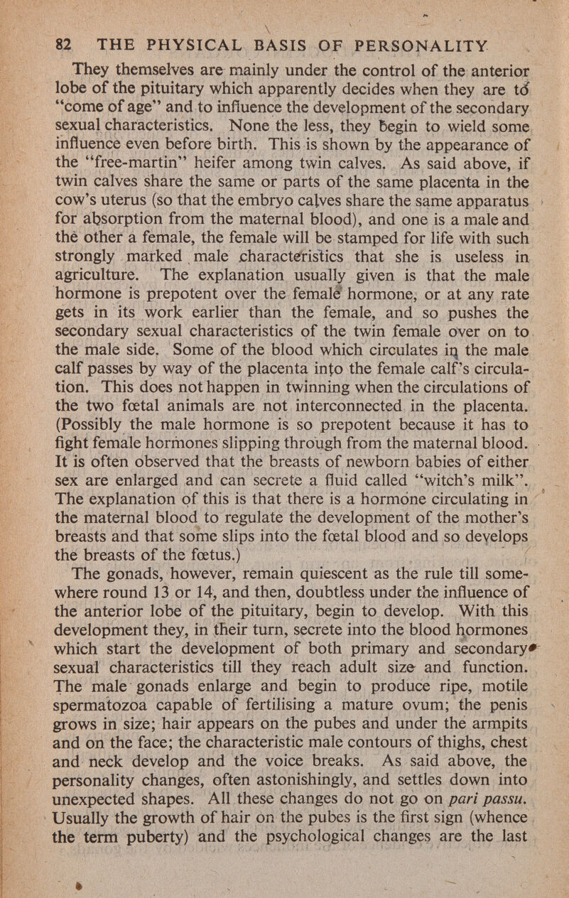 \ 82 THE PHYSICAL BASIS OF PERSONALITY They themselves are mainly under the control of the anterior lobe of the pituitary which apparently decides when they are tó come of age and to influence the development of the secondary sexual characteristics. None the less, they begin to wield some influence even before birth. This is shown by the appearance of the free-martin heifer among twin calves. As said above, if twin calves share the same or parts of the same placenta in the cow's uterus (so that the embryo calves share the same apparatus for absorption from the maternal blood), and one is a male and thè other a female, the female will be stamped for life with such strongly marked male characteristics that she is useless in agriculture. The explanation usually given is that the male hormone is prepotent over the female hormone, or at any rate gets in its work earlier than the female, and so pushes the secondary sexual characteristics of the twin female over on to the male side. Some of the blood which circulates in the male calf passes by way of the placenta into the female calf's circula tion. This does not happen in twinning when the circulations of the two foetal animals are not interconnected in the placenta. (Possibly the male hormone is so prepotent because it has to fight female hormones slipping through from the maternal blood. It is often observed that the breasts of newborn babies of either sex are enlarged and can secrete a fluid called witch's milk. The explanation of this is that there is a hormòne circulating in the maternal blood to regulate the development of the mother's breasts and that some slips into the fœtal blood and so develops the breasts of the foetus.) The gonads, however, remain quiescent as the rule till some where round 13 or 14, and then, doubtless under the influence of the anterior lobe of the pituitary, begin to develop. With this development they, in their turn, secrete into the blood hormones which start the development of both primary and secondary# sexual characteristics till they reach adult size and function. The male gonads enlarge and begin to produce ripe, motile spermatozoa capable of fertilising a mature ovum; the penis grows in size; hair appears on the pubes and under the armpits and on the face; the characteristic male contours of thighs, chest and neck develop and the voice breaks. As said above, the personality changes, often astonishingly, and settles down into unexpected shapes. All these changes do not go on pari passu. Usually the growth of hair on the pubes is the first sign (whence the term puberty) and the psychological changes are the last »