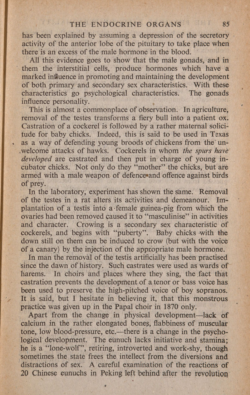 has been explained by assuming a depression of the secretory activity of the anterior lobe of the pituitary to take place when there is an excess of the male hormone in the blood. All this evidence goes to show that the male gonads, and in them the interstitial cells, produce hormones which have a marked influence in promoting and maintaining the development of both primary and secondary sex characteristics. With these characteristics go psychological characteristics. The gonads influence personality. , This is almost a commonplace of observation. In agriculture, removal of the testes transforms a fiery bull into a patient ox. Castration of a cockerel is followed by a rather maternal solici tude for baby chicks. Indeed, this is said to be used in Texas as a way of defending young broods of chickens from the un- . welcomé attacks of hawks. Cockerels in whom the spurs have developed are castrated and then put in charge of young in cubator chicks. Not only do they mother the chicks, but are armed with a male weapon of defence*and offence against birds of prey. In the laboratory, experiment has shown the same. Removal of the testes in a rat alters its activities and demeanour. Im plantation Of a testis into a female guinea-pig from which the ovaries had been removed caused it to masculinise in activities and character. Crowing is a secondary sex characteristic of cockerels, and begins with puberty. Baby chicks with the down still on them can be induced to crow (but with the voice of a canary) by the injection of the appropriate male hormone. In man the removàl of the testis artificially has been practised since the dawn of history. Such castrates were used as wards of harems. In choirs and places 'where they sing, the .fact that castration prevents the development of a tenor or bass voice has been used to preserve the high-pitched voice of boy sopranos. It is said, but I hesitate in believing it, that this monstrous practice was given up in the Papal choir in 1870 only. Apart from the change in physical development—lack of calcium in the rather elongated bones, flabbiness of muscular tone, low blood-pressure, etc.—there is a change in the psycho logical development. The eùnuch lacks initiative and stamina; he is a lone-wolf, retiring, introverted and work-shy, though sometimes the state frees the intellect from the diversions and distractions of sex. A careful examination of the reactions of 20 Chinese eunuchs in Peking left behind after the revolution