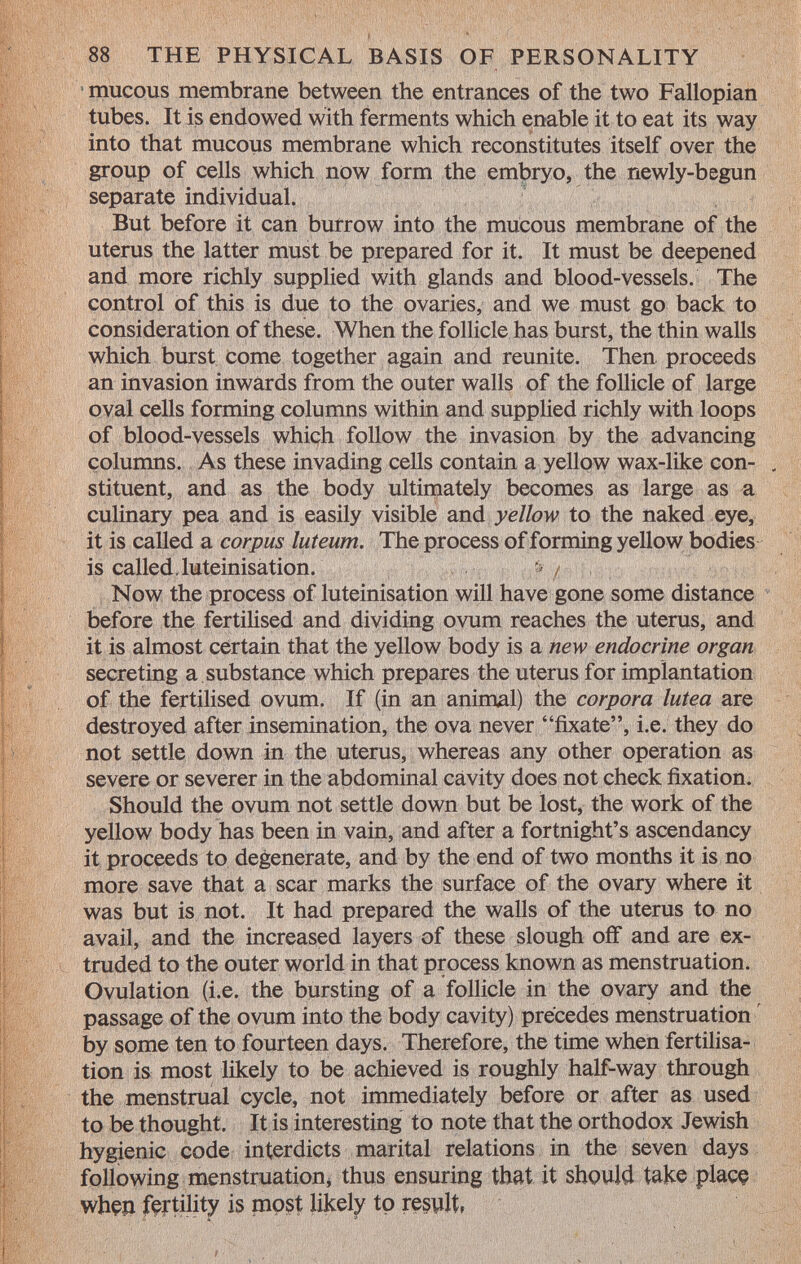 mucous membrane between the entrances of the two Fallopian tubes. It is endowed with ferments which enable it to eat its way into that mucous membrane which reconstitutes itself over the group of cells which now form the embryo, the newly-begun separate individual. But before it can burrow into the mucous membrane of the uterus the latter must be prepared for it. It must be deepened and more richly supplied with glands and blood-vessels. The control of this is due to the ovaries, and we must go back to consideration of these. When the follicle has burst, the thin walls which burst come together again and reunite. Then proceeds an invasion inwards from the outer walls of the follicle of large oval cells forming columns within and supplied richly with loops of blood-vessels which follow the invasion by the advancing columns. As these invading cells contain a yellow wax-like con- , stituent, and as the body ultimately becomes as large as a culinary pea and is easily visible and yellow to the naked eye, it is called a corpus luteum. The process of forming yellow bodies is called Luteinisation. } / Now the process of luteinisation will have gone some distance before the fertilised and dividing ovum reaches the uterus, and it is almost certain that the yellow body is a new endocrine organ secreting a substance which prepares the uterus for implantation of the fertilised ovum. If (in an animal) the corpora lutea are destroyed after insemination, the ova never fixate, i.e. they do not settle down in the uterus, whereas any other operation as severe or severer in the abdominal cavity does not check fixation. Should the ovum not settle down but be lost, the work of the yellow body has been in vain, and after a fortnight's ascendancy it proceeds to degenerate, and by the end of two months it is no more save that a scar marks the surface of the ovary where it was but is not. It had prepared the walls of the uterus to no avail, and the increased layers of these slough off and are ex truded to the outer world in that process known as menstruation. Ovulation (i.e. the bursting of a follicle in the ovary and the passage of the ovum into the body cavity) precedes menstruation by some ten to fourteen days. Therefore, the time when fertilisa tion is most likely to be achieved is roughly half-way through the menstrual cycle, not immediately before or after as used to be thought. It is interesting to note that the orthodox Jewish hygienic code interdicts marital relations in the seven days following menstruation, thus ensuring that it should take place when fertility is most likely to result.