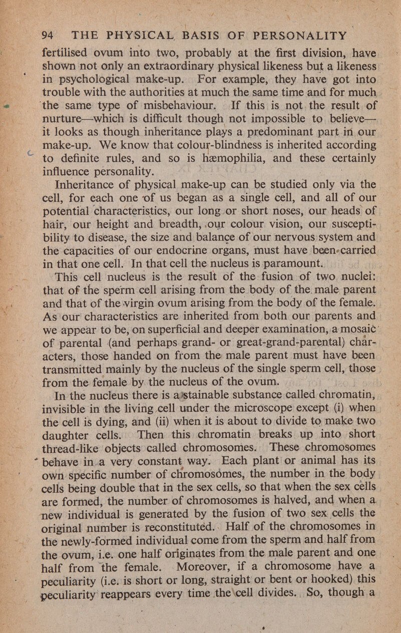 fertilised ovum into two, probably at the first division, have shown not only an extraordinary physical likeness but a likeness in psychological make-up. For example, they have got into trouble with the authorities at much the same time and for much the same type of misbehaviour. If this is not the result of nurture—which is difficult though not impossible to believe—■ it looks as though inheritance plays a predominant part in our make-up. We know that colour-blindness is inherited according to definite rules, and so is haemophilia, and these certainly influence personality. Inheritance of physical make-up can be studied only via the cell, for each one -of us began as a single cell, and all of our potential characteristics, our long or short noses, our heads of hair, our height and breadth, our colour vision, our suscepti bility to disease, the size and balance of our nervous system and the capacities of our endocrine organs, must have been» carried in that one cell. In that cell the nucleus is paramount. This cell nucleus is the result of the fusion of two nuclei: that of the sperm cell arising from the body of the male parent and that of the virgin ovum arising from the body of the female. As our characteristics are inherited from both our parents and we appear to be, on superficial and deeper examination, a mosaic of parental (and perhaps grand- or great-grand-parental) chár- acters, those handed on from the male parent must have been transmitted mainly by the nucleus of the single sperm cell, those from the female by the nucleus of the ovum. In the nucleus there is a stainable substance called chromatin, invisible in the living cell under the microscope except (i) when the cell is dying, and (ii) when it is about to divide to make two daughter cells. Then this chromatin breaks up into short thread-like objects called chromosomes. These chromosomes  behave in a very constant way. Each plant or animal has its own specific number of clíromosómes, the number in the body cells being double that in the sex cells, so that when the sex cells are formed, the number of chromosomes is halved, and when a new individual is generated by the fusion of two sex cells the original number is reconstituted. Half of the chromosomes in the newly-formed individual come from the sperm and half from the ovum, i.e. one half originates from the male parent and one half from the female. Moreover, if a chromosome have a peculiarity (i.e. is short or long, straight or bent or hooked) this peculiarity reappears every time the cell divides. So, though a »