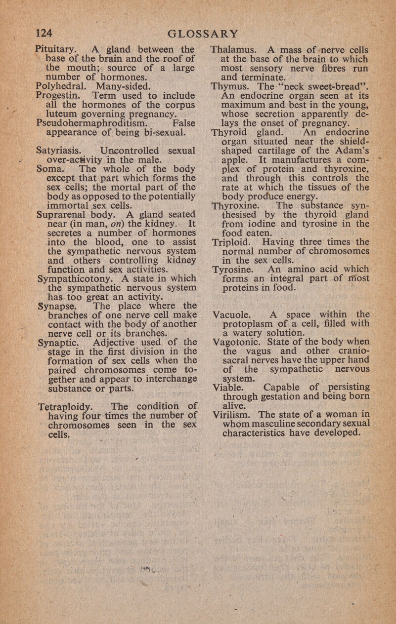 Pituitary. A gland between the base of the brain and the roof of the mouth; source of a large number of hormones. Polyhedral. Many-sided. Progestin. Term used to include all the hormones of the corpus luteum governing pregnancy. Pseudohermaphroditism. False appearance of being bi-sexual. Satyriasis. Uncontrolled sexual over-activity in the male. Soma. The whole of the body except that part which forms the sex cells; the mortal part of the body as opposed to the potentially immortal sex cells. Suprarenal body. A gland seated near (in man, on) the kidney. It secretes a number of hormones into the blood, one to assist the sympathetic nervous system and others controlling kidney function and sex activities. Sympathicotony. A state in which the sympathetic nervous system has too great an activity. Synapse. The place where the branches of one nerve cell make contact with the body of another nerve cell or its branches. Synaptic. Adjective used of the stage in the first division in the formation of sex cells when the paired chromosomes come to gether and appear to interchange substance or parts. Tetraploidy. The condition of having four times the number of chromosomes seen in the sex cells. Thalamus. A mass of nerve cells at the base of the brain to which most sensory nerve fibres run and terminate. Thymus. The neck sweet-bread. An endocrine organ seen at its maximum and best in the young, whose secretion apparently de lays the onset of pregnancy. Thyroid gland. An endocrine organ situated near the shield- shaped cartilage of the Adam's apple. It manufactures a com plex of protein and thyroxine, and through this controls the rate at which the tissues of the body produce energy. Thyroxine. The substance syn- thesised by the thyroid gland from iodine and tyrosine in the food eaten. Triploid. Having three times the normal number of chromosomes in the sex cells. Tyrosine. An amino acid which forms an integral part of most proteins in food. Vacuole. A space within the protoplasm of a cell, filled with a watery solution. Vagotonic. State of the body when the vagus and other cranio sacral nerves have the upper hand of the sympathetic nervous system. Viable. Capable of persisting through gestation and being born alive. Virilism. The state of a woman in whom masculine secondary sexual characteristics have developed.
