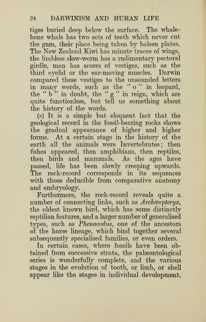 24 DARWINISM AND HUMAN LIFE tiges buried deep below the surface. The whale¬ bone whale has two sets of teeth which never cut the gum, their place being taken by baleen plates. The New Zealand Kiwi has minute traces of wings, the hmbless slow-worm has a rudimentary pectoral girdle, man has scores of vestiges, such as the third eyelid or the ear-moving muscles. Darwin compared these vestiges to the unsounded letters in many words, such as the  о  in leopard, the  b in doubt, the  g  in reign, which are quite functionless, but tell us something about the history of the words. (e) It is a simple but eloquent fact that the geological record in the fossil-bearing rocks shows the gradual appearance of higher and higher forms. At a certain stage in the history of the earth all the animals were Invertebrates ; then fishes appeared, then amphibians, then reptiles, then birds and mammals. As the ages have passed, life has been slowly creeping upwards. The rock-record corresponds in its sequences with those deducible from comparative anatomy and embryology. Furthermore, the rock-record reveals quite a number of connecting links, such as Archœopteryx, the oldest known bird, which has some distinctly reptilian features, and a larger number of generalised types, such as Phenacodus, one of the ancestors of the horse lineage, which bind together several subsequently specialised families, or even orders. In certain cases, where fossils have been ob¬ tained from successive strata, the palseontological series is wonderfully complete, and the various stages in the evolution of tooth, or limb, or shell appear like the stages in individual development»