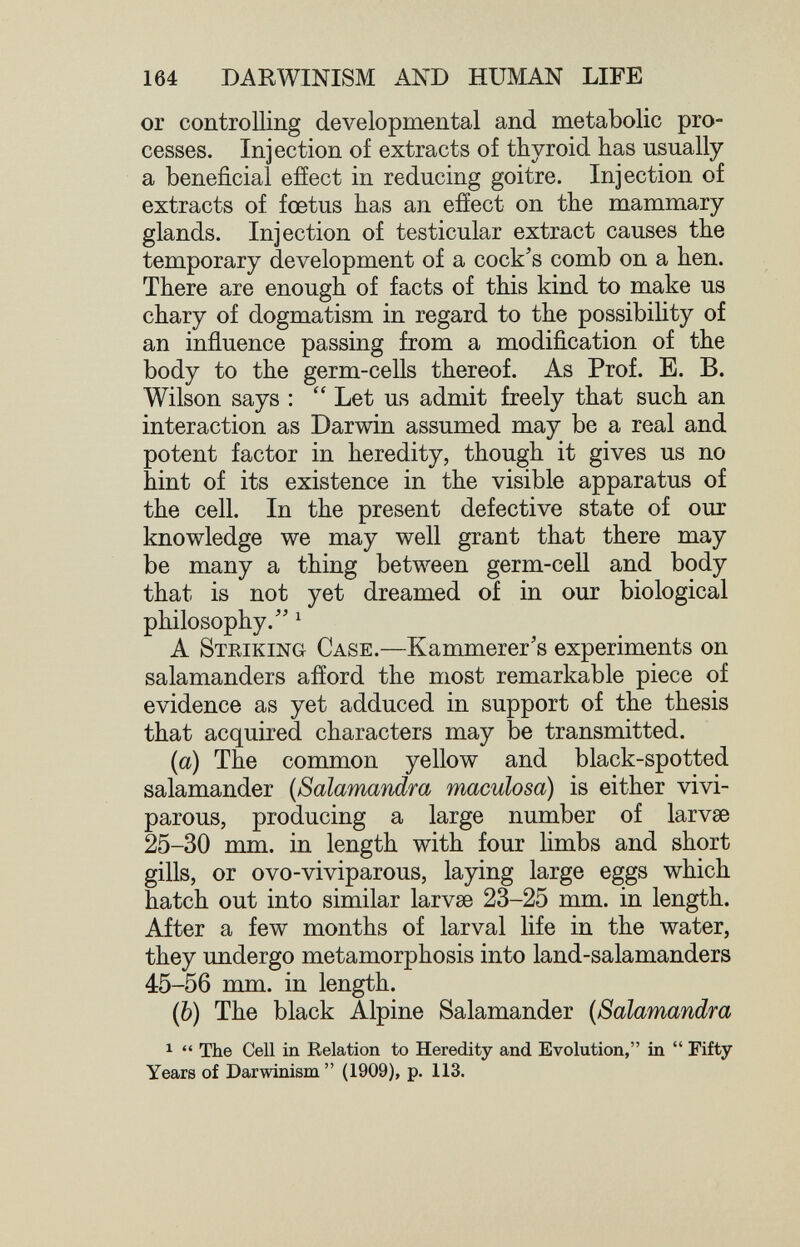 164 DARWINISM AND HUMAN LIFE or controlling developmental and metabolic pro¬ cesses. Injection of extracts of thyroid has usually a beneficial effect in reducing goitre. Injection of extracts of fœtus has an efíect on the mammary glands. Injection of testicular extract causes the temporary development of a cock's comb on a hen. There are enough of facts of this kind to make us chary of dogmatism in regard to the possibihty of an influence passing from a modification of the body to the germ-cells thereof. As Prof. E. B. Wilson says :  Let us admit freely that such an interaction as Darwin assumed may be a real and potent factor in heredity, though it gives us no hint of its existence in the visible apparatus of the cell. In the present defective state of our knowledge we may well grant that there may be many a thing between germ-cell and body that is not yet dreamed of in our biological philosophy. ^ A Striking Case.—Kammerer's experiments on salamanders afíord the most remarkable piece of evidence as yet adduced in support of the thesis that acquired characters may be transmitted. {a) The common yellow and black-spotted salamander {Salamandra maculosa) is either vivi¬ parous, producing a large number of larvae 25-30 mm. in length with four limbs and short gills, or ovo-viviparous, laying large eggs which hatch out into similar larvae 23-25 mm. in length. After a few months of larval life in the water, they undergo metamorphosis into land-salamanders 45-56 mm. in length. (6) The black Alpine Salamander (Salamandra ^  The Cell in Relation to Heredity and Evolution, in  Fifty Years of Darwinism  (1909), p. 113.