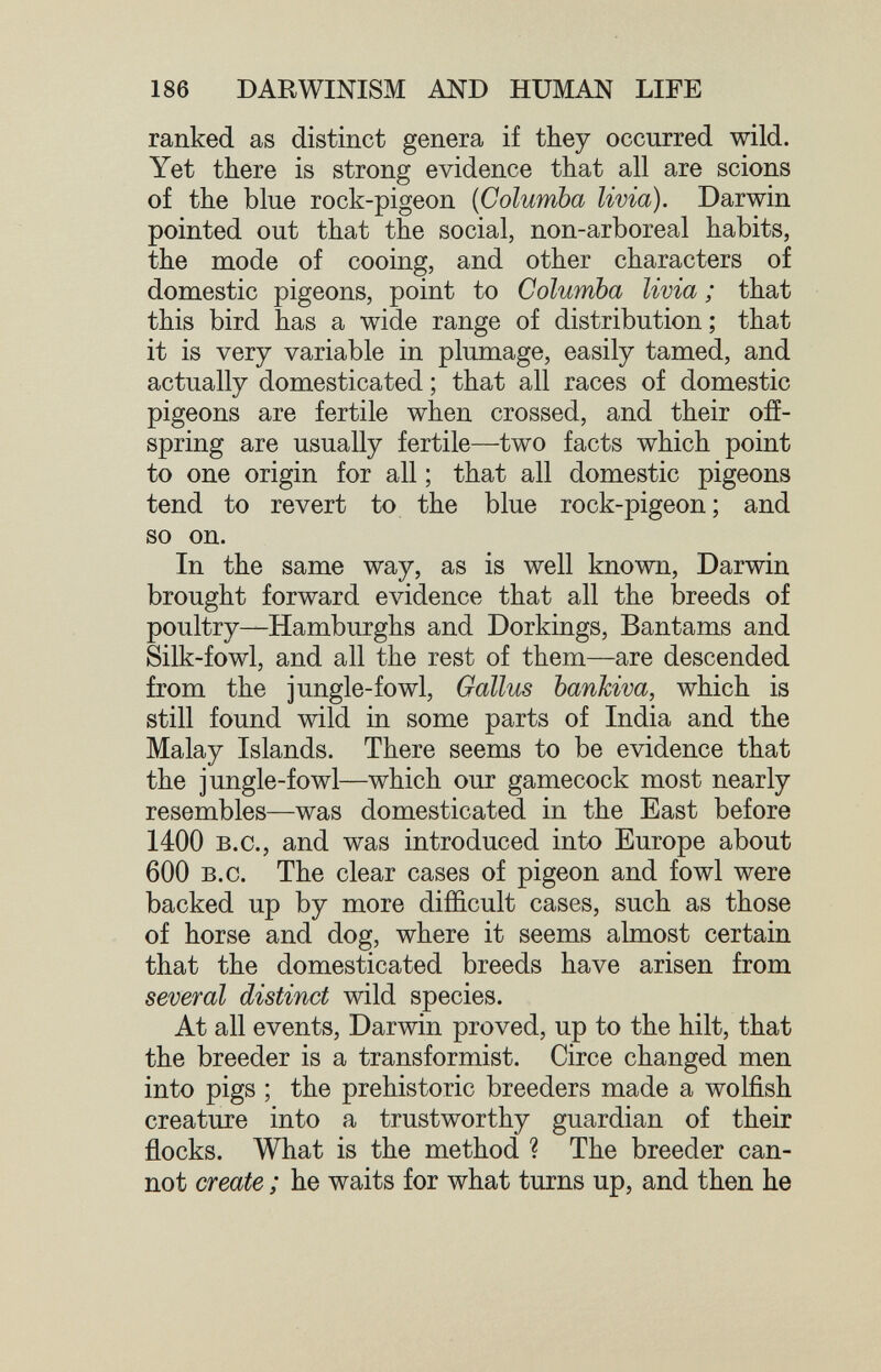 186 DARWINISM AND HUMAN LIFE ranked as distinct genera if they occurred wild. Yet there is strong evidence that all are scions of the blue rock-pigeon {Columba livia). Darwin pointed out that the social, non-arboreal habits, the mode of cooing, and other characters of domestic pigeons, point to Columba livia ; that this bird has a wide range of distribution ; that it is very variable in plumage, easily tamed, and actually domesticated ; that all races of domestic pigeons are fertile when crossed, and their off¬ spring are usually fertile—two facts which point to one origin for all ; that all domestic pigeons tend to revert to the blue rock-pigeon; and so on. In the same way, as is well known, Darwin brought forward evidence that all the breeds of poultry—Hamburghs and Dorkings, Bantams and Silk-fowl, and all the rest of them—are descended from the jungle-fowl, Gallus banhiva, which is still found wild in some parts of India and the Malay Islands. There seems to be evidence that the jungle-fowl—which our gamecock most nearly resembles—was domesticated in the East before 1400 B.c., and was introduced into Europe about 600 B.c. The clear cases of pigeon and fowl were backed up by more difficult cases, such as those of horse and dog, where it seems almost certain that the domesticated breeds have arisen from several distinct wild species. At all events, Darwin proved, up to the hilt, that the breeder is a transformist. Circe changed men into pigs ; the prehistoric breeders made a wolfish creature into a trustworthy guardian of their flocks. What is the method ? The breeder can¬ not create ; he waits for what turns up, and then he
