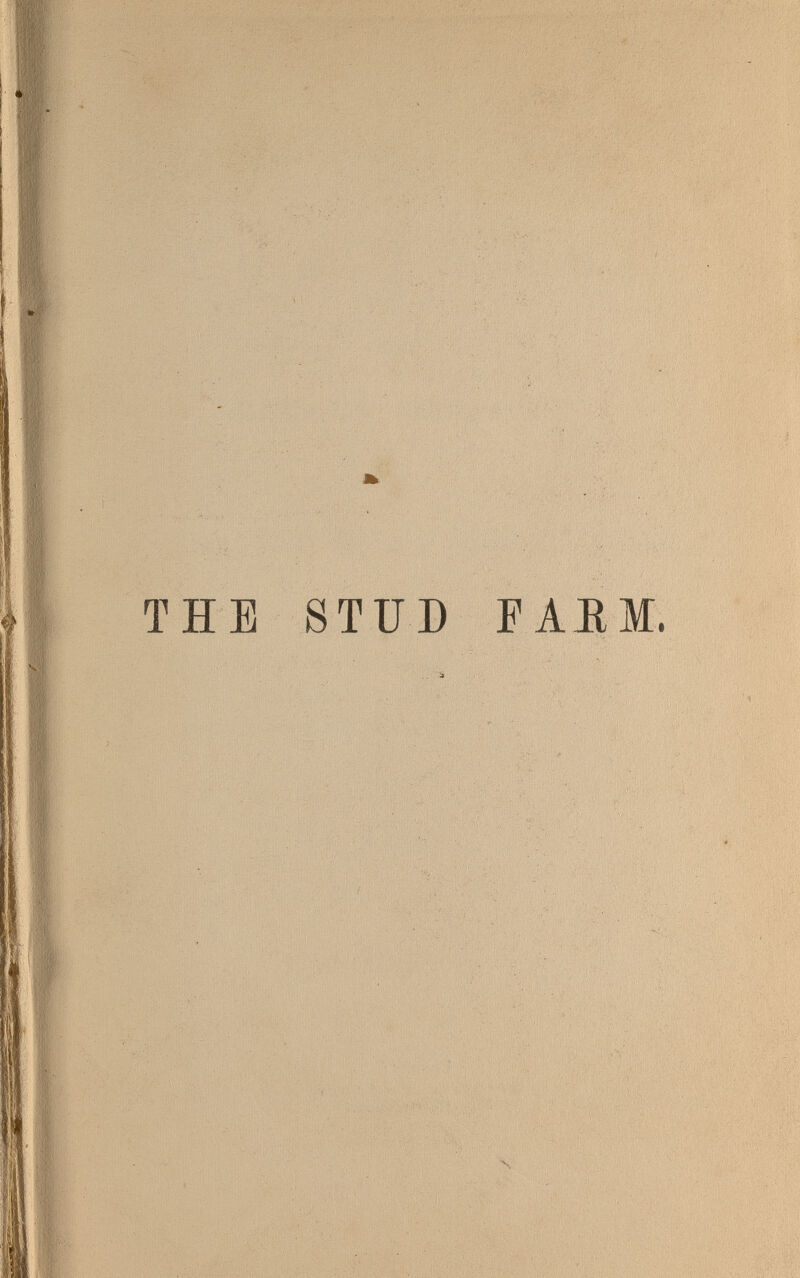 { V * « '4mi4  í ' ' Ч '„TU '>M. '.' *. THE STÜD FAEM. N